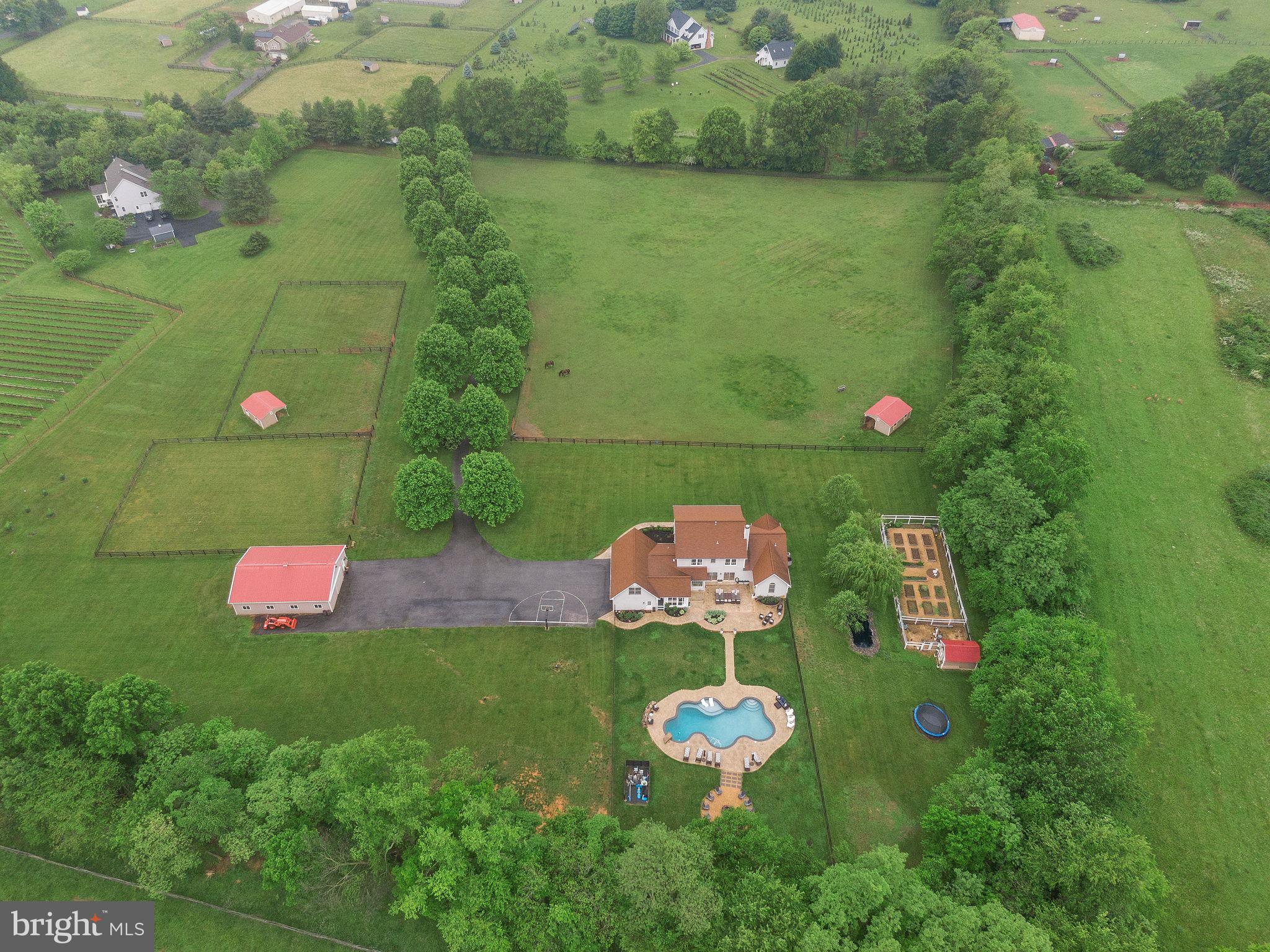 13878 Bronco Ln
