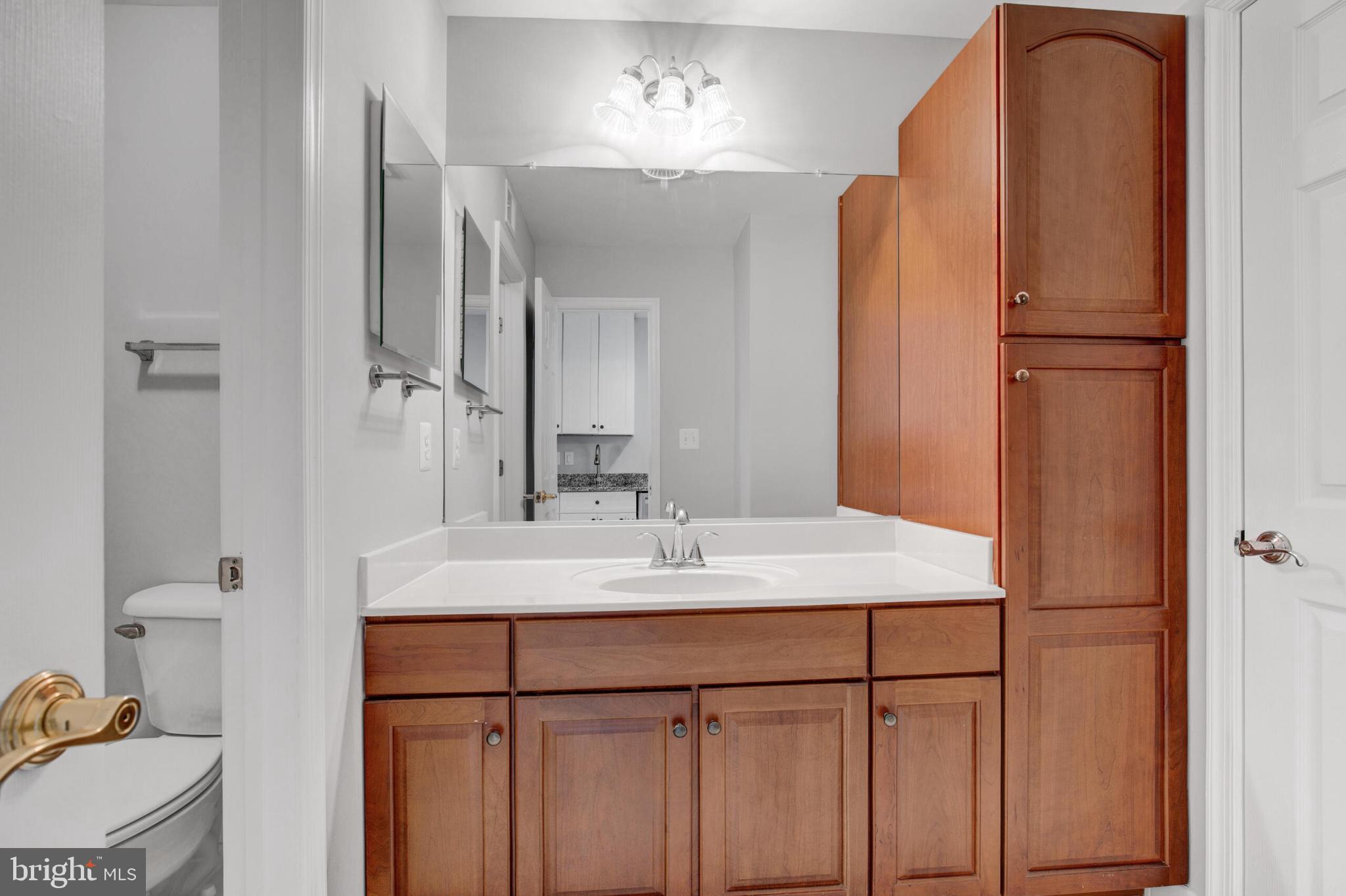 42433 GREENSIDE DRIVE