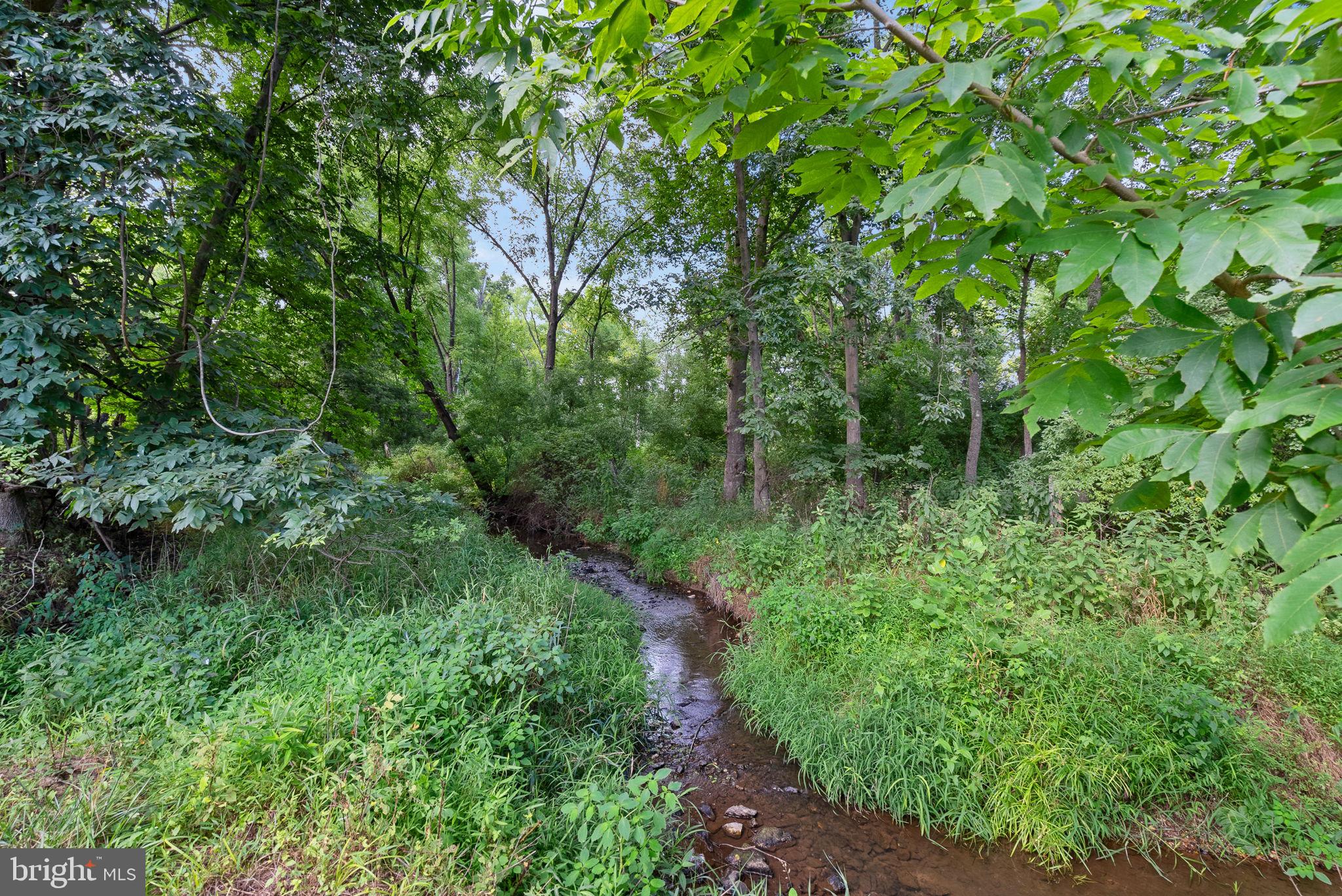 38599 Richard Creek Ln