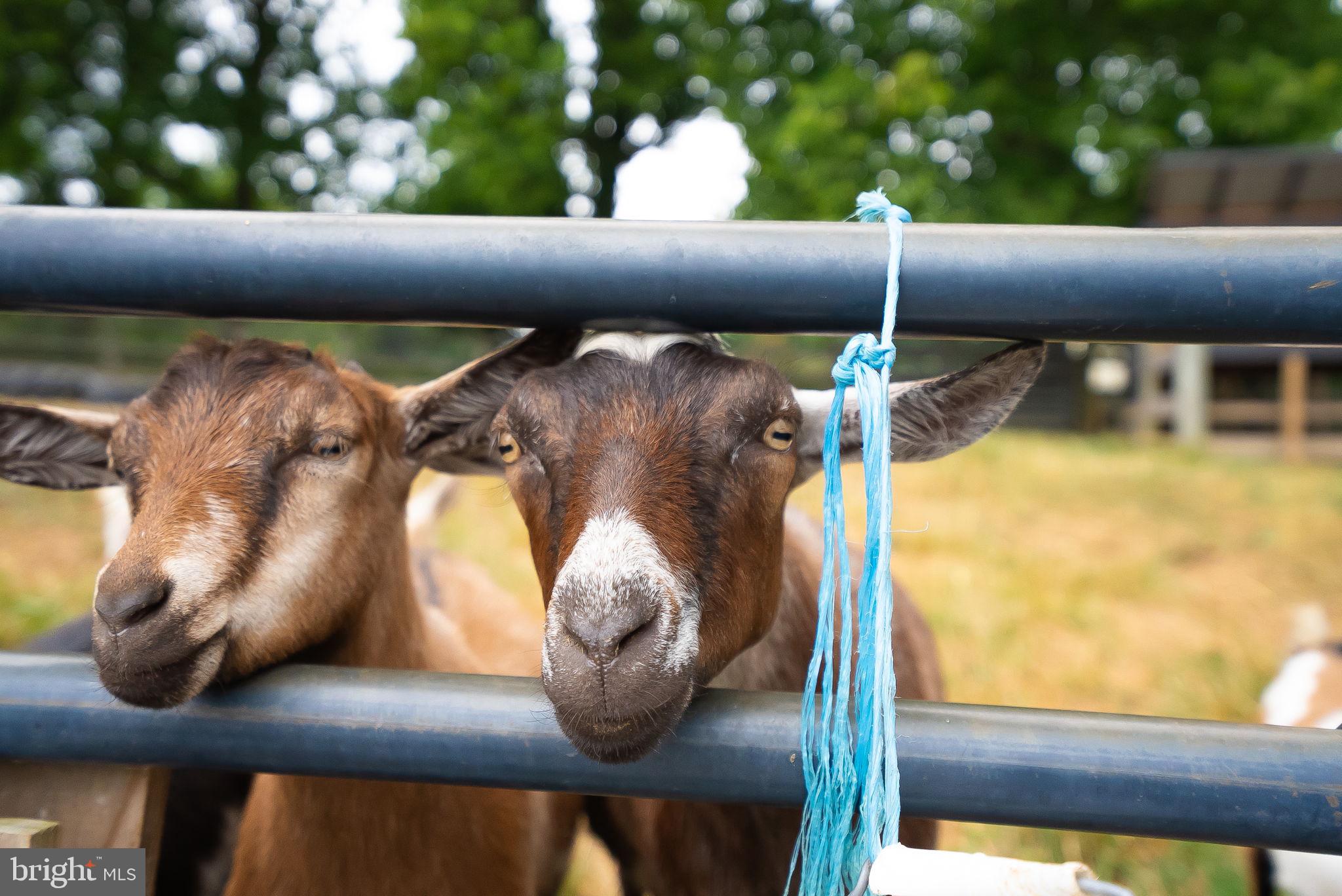 38599 Richard Creek Ln