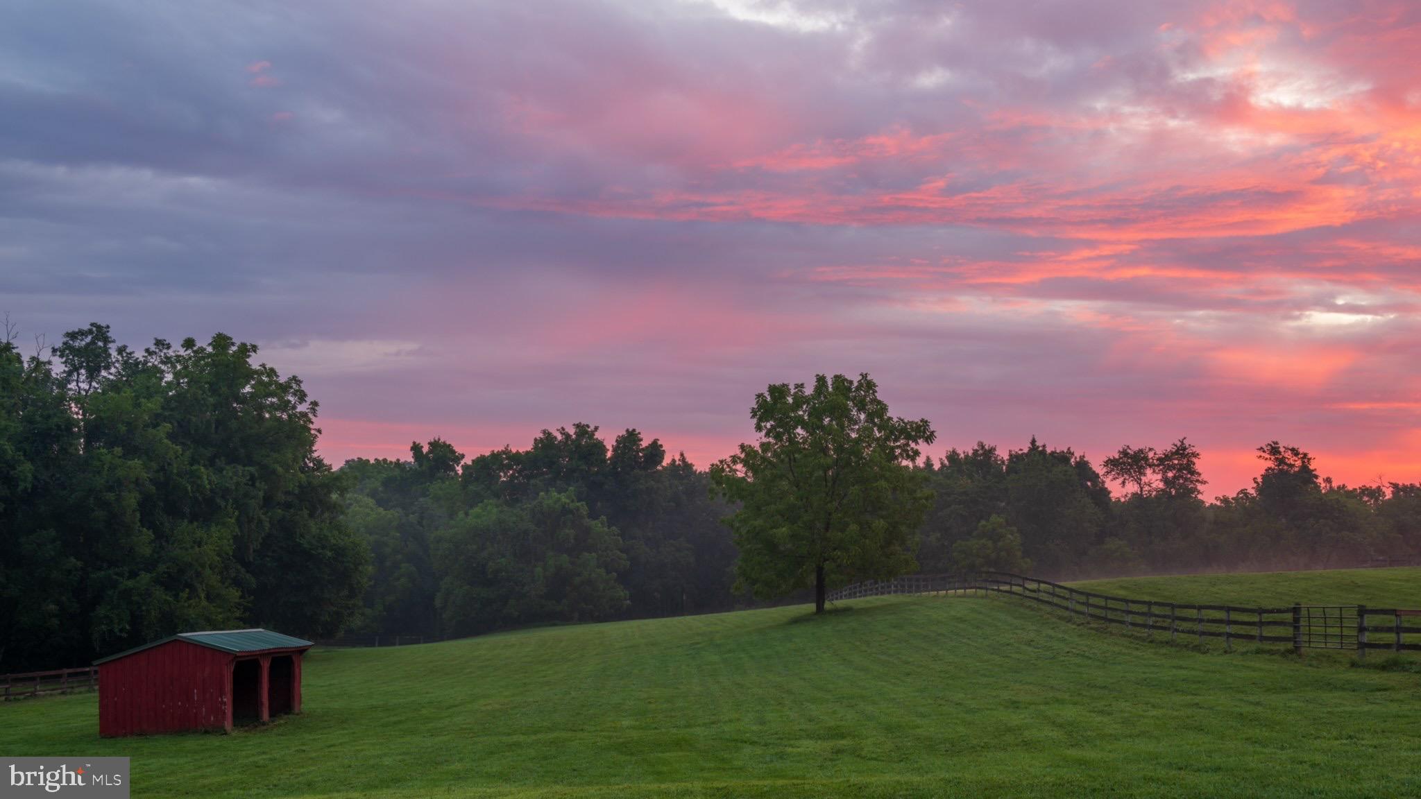 38599 Richard Creek Ln