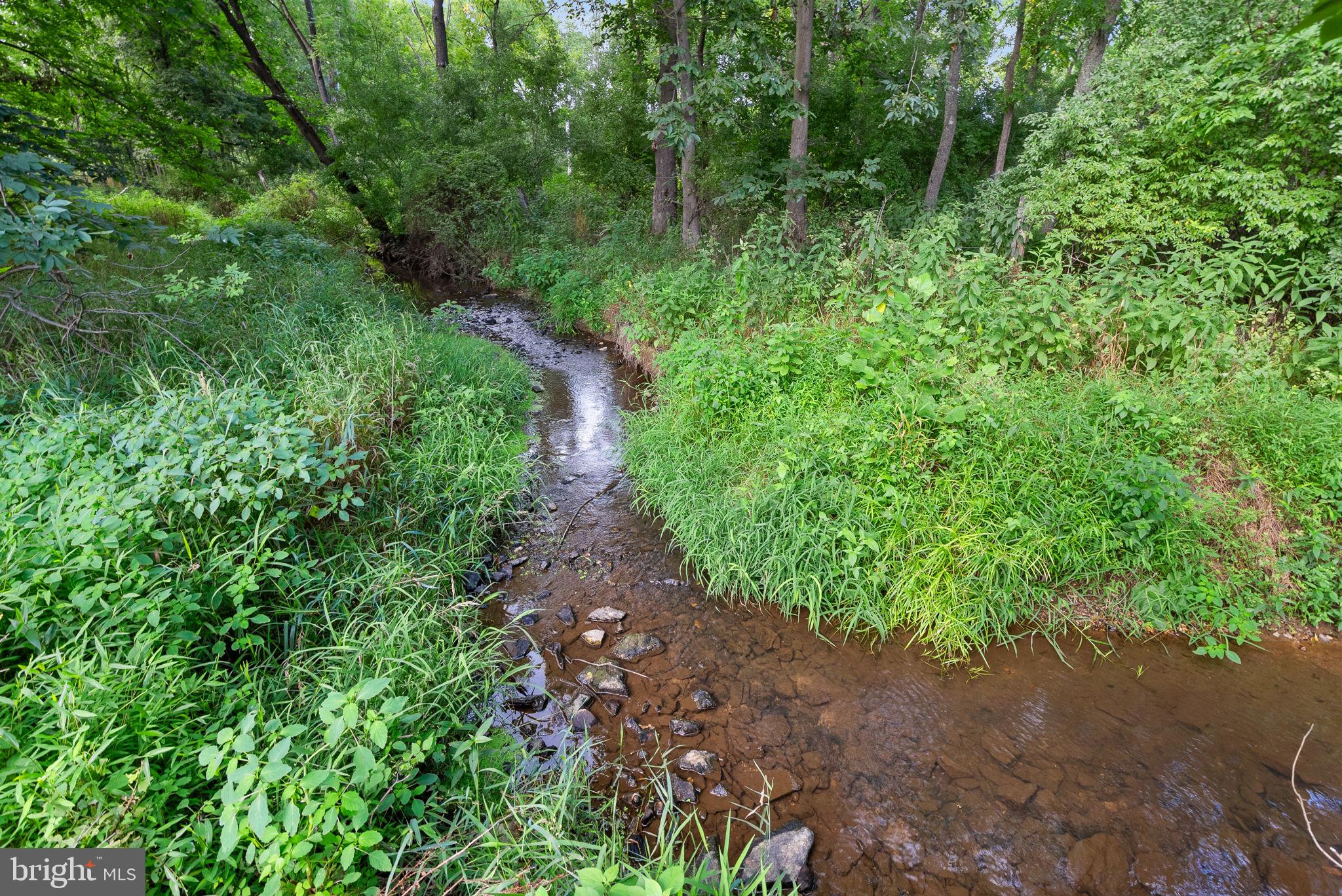 38599 Richard Creek Ln