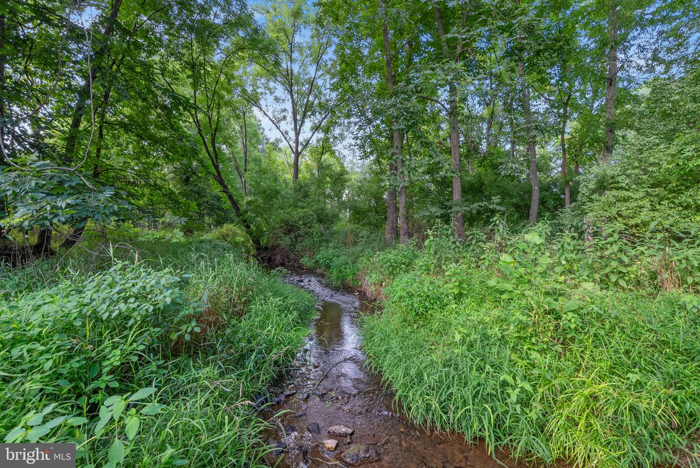 38599 Richard Creek Ln