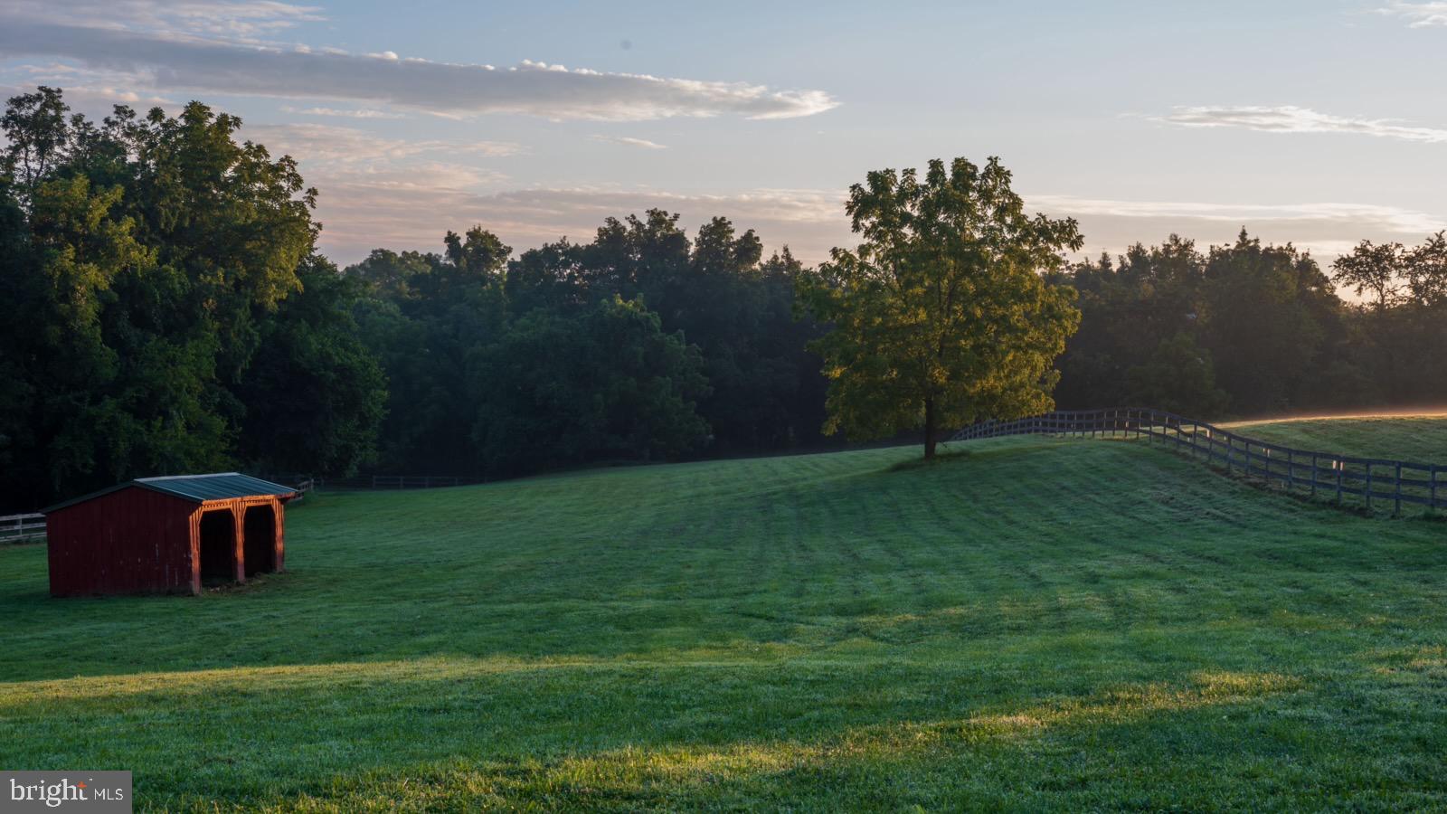 38599 Richard Creek Ln