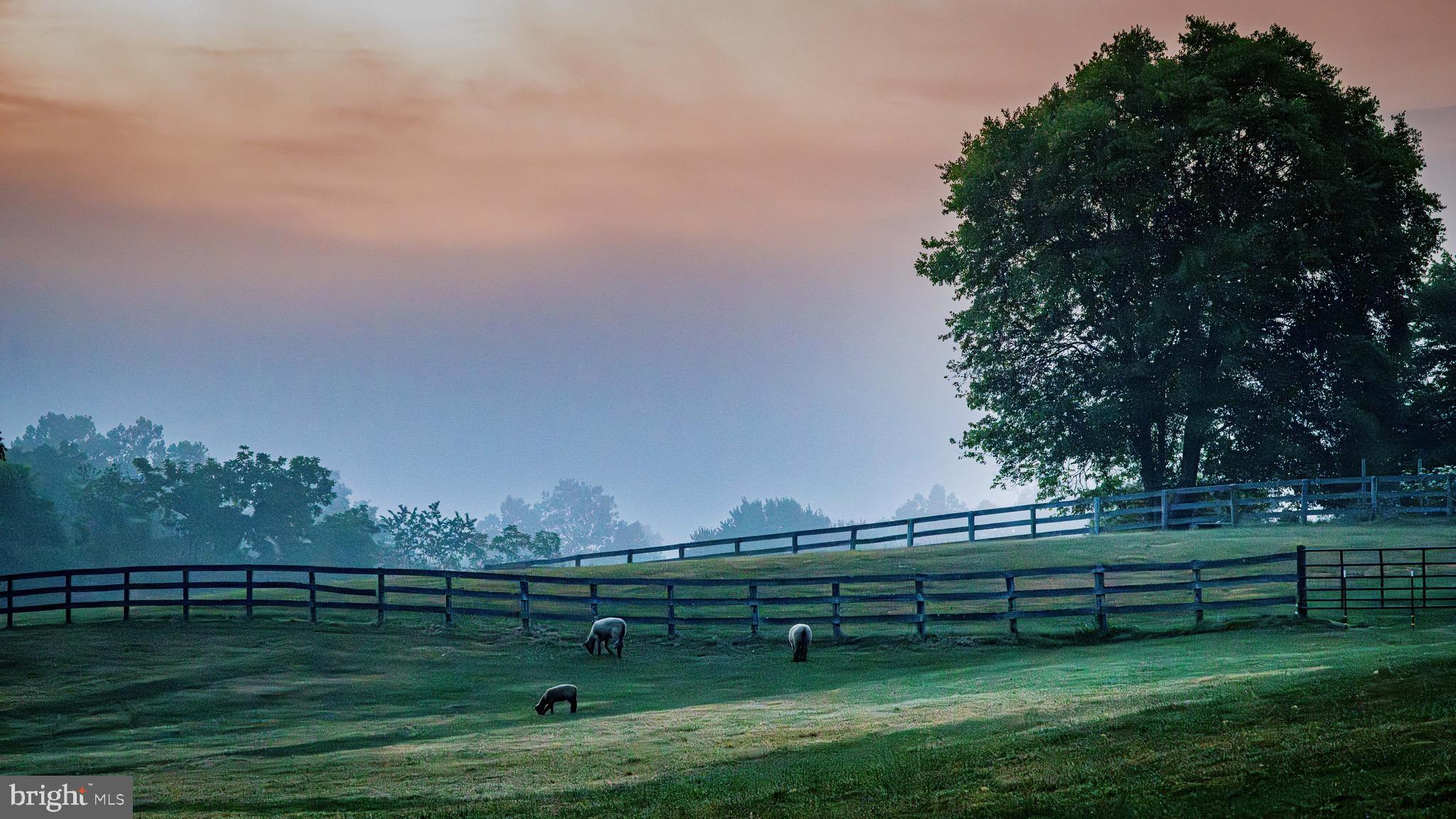 38599 Richard Creek Ln