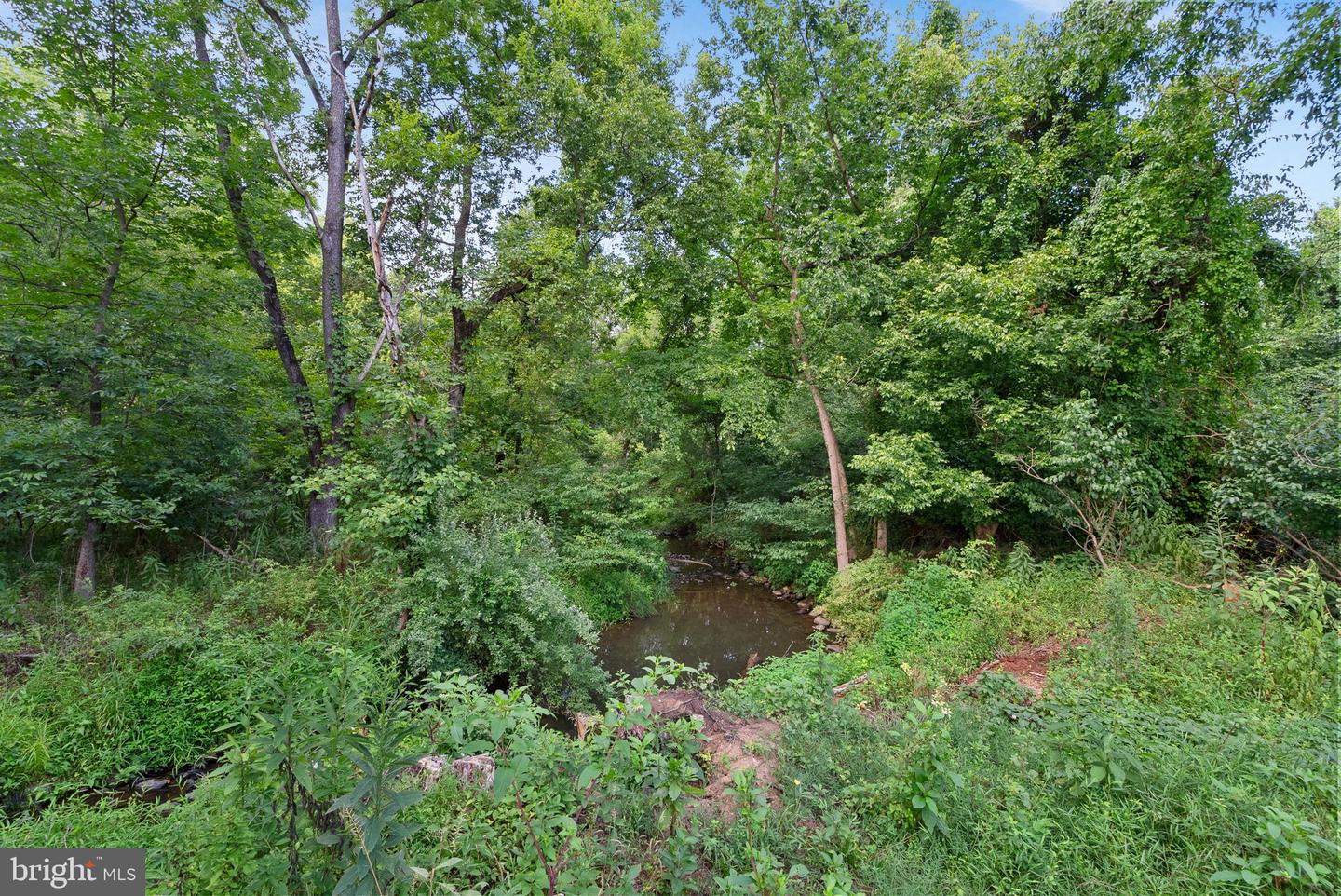 38599 Richard Creek Ln