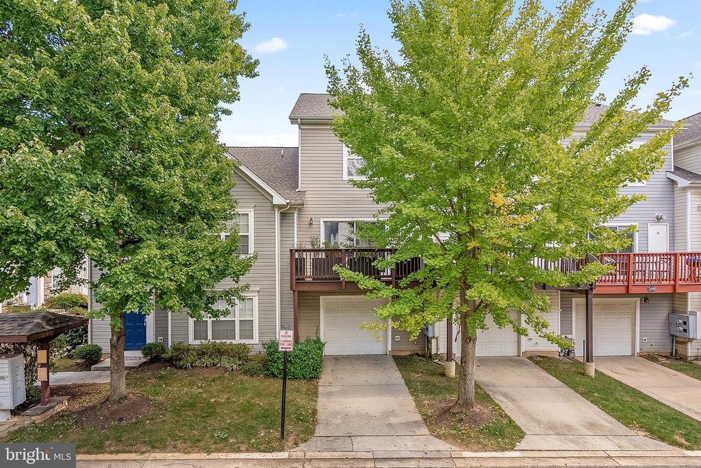 21763 Dragons Green Sq