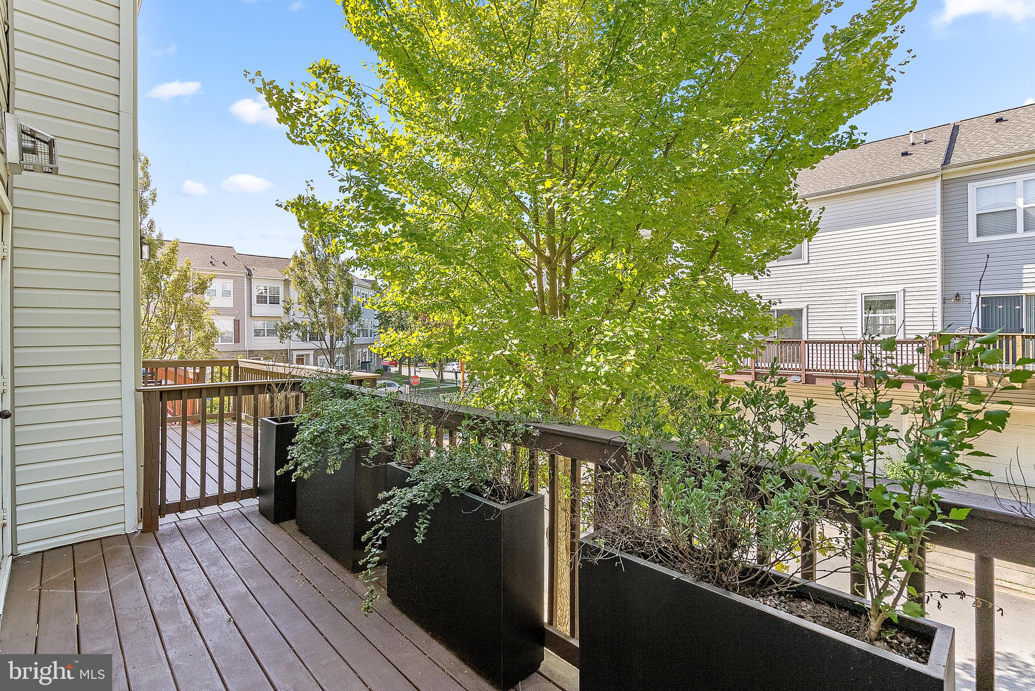 21763 Dragons Green Sq