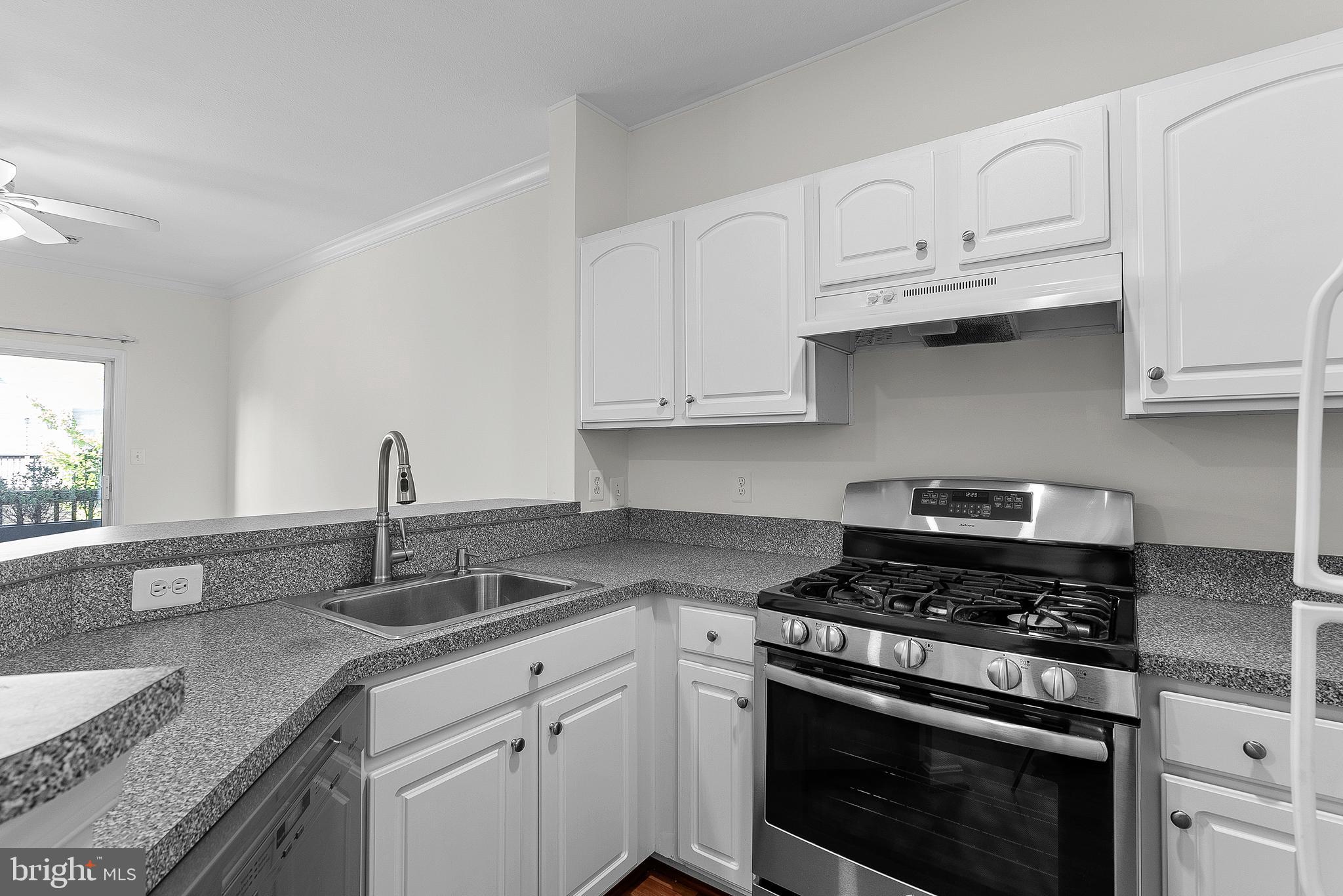 21763 Dragons Green Sq