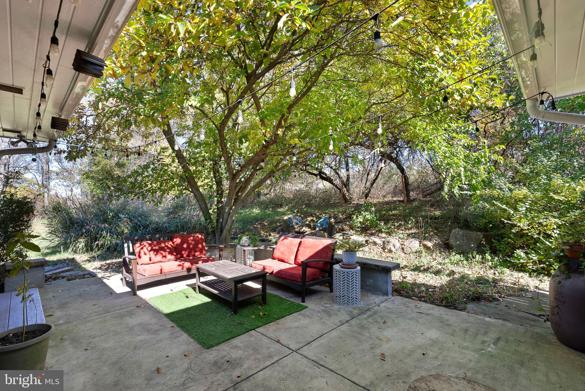 16540 Clarkes Gap Rd