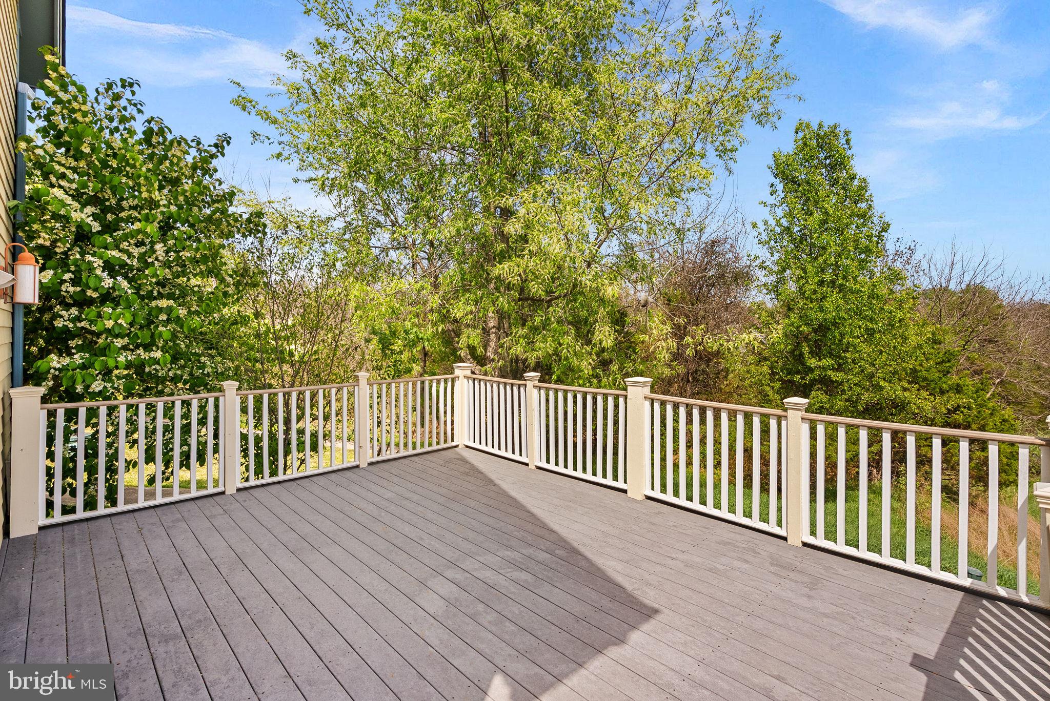 40988 REDWING SONG LANE