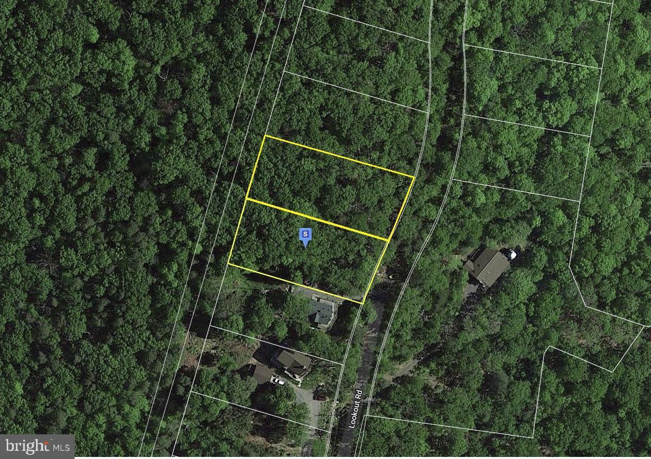 2204 & 2206 Lookout Rd