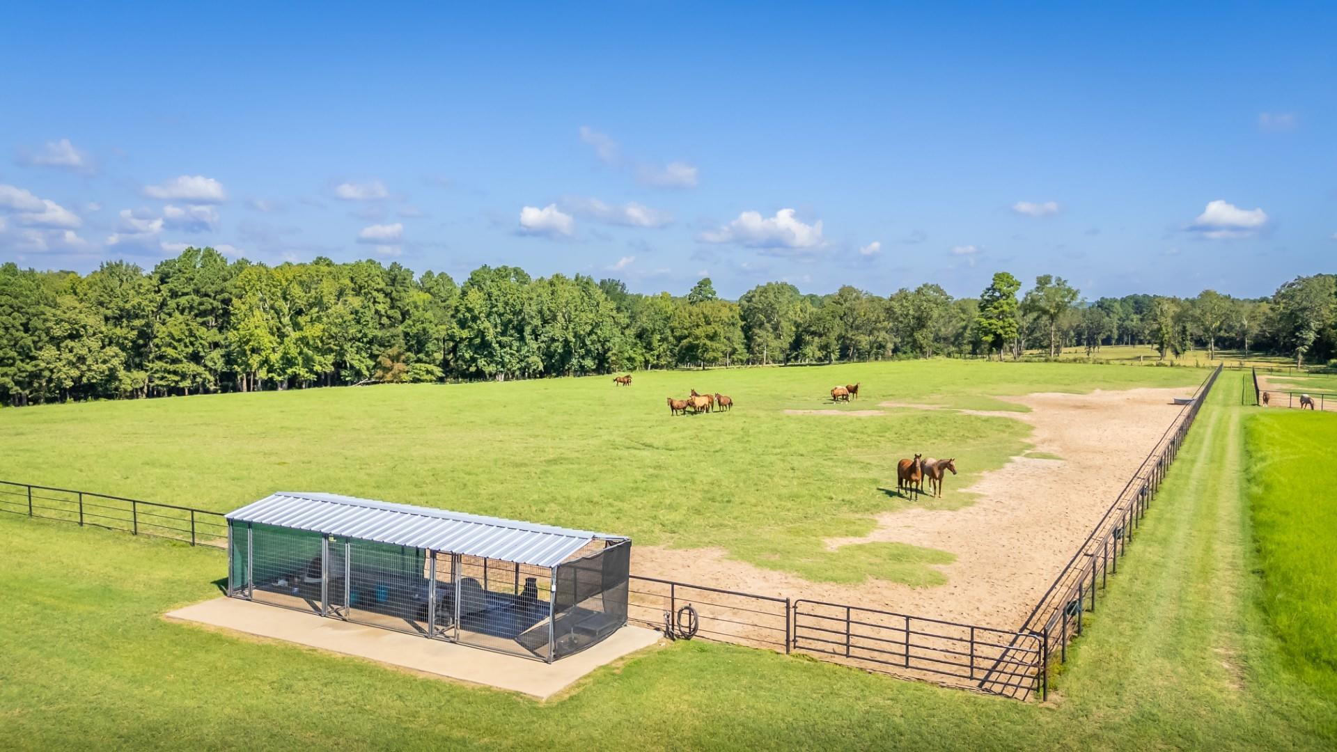 13288 County Road 4122