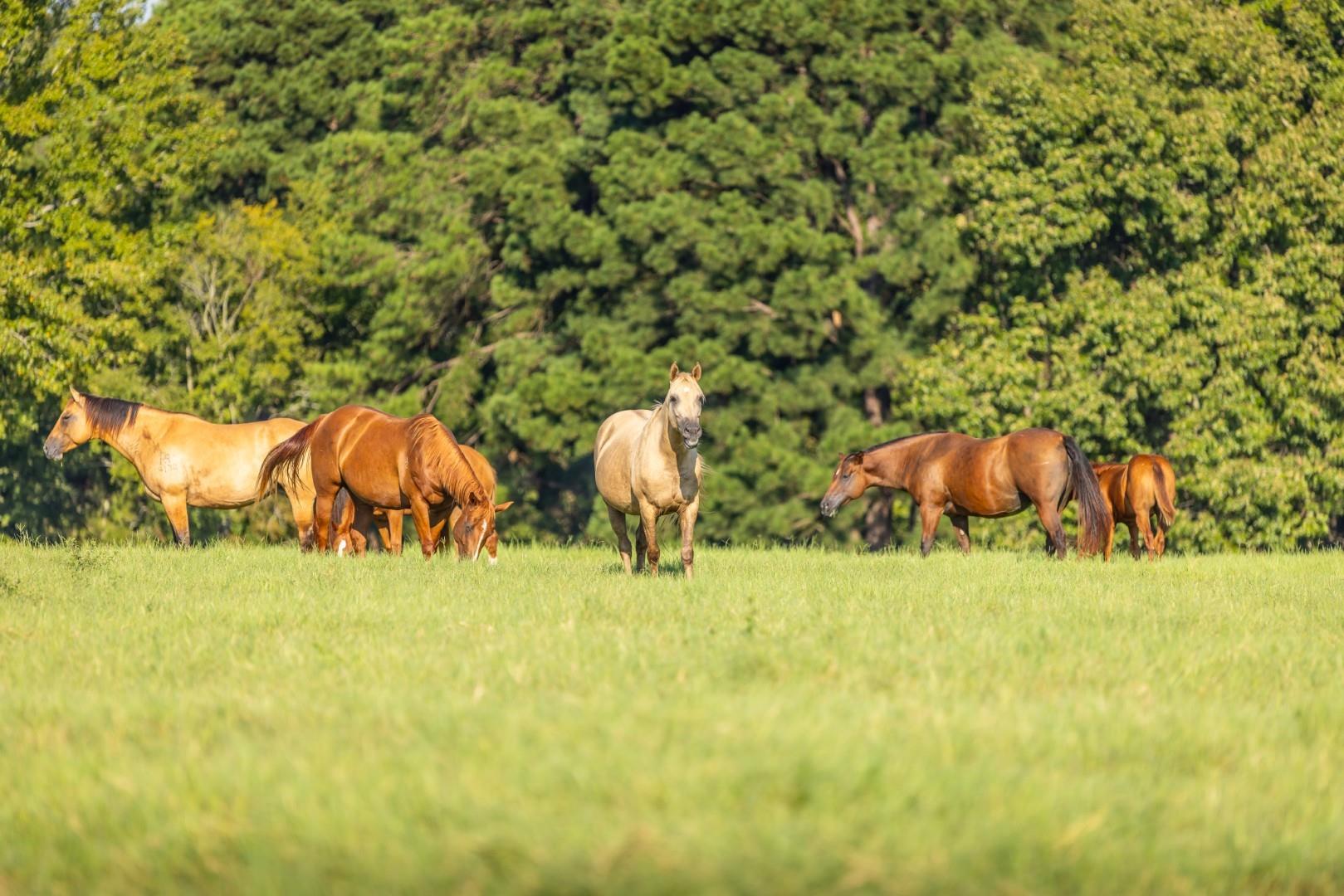 13288 County Road 4122