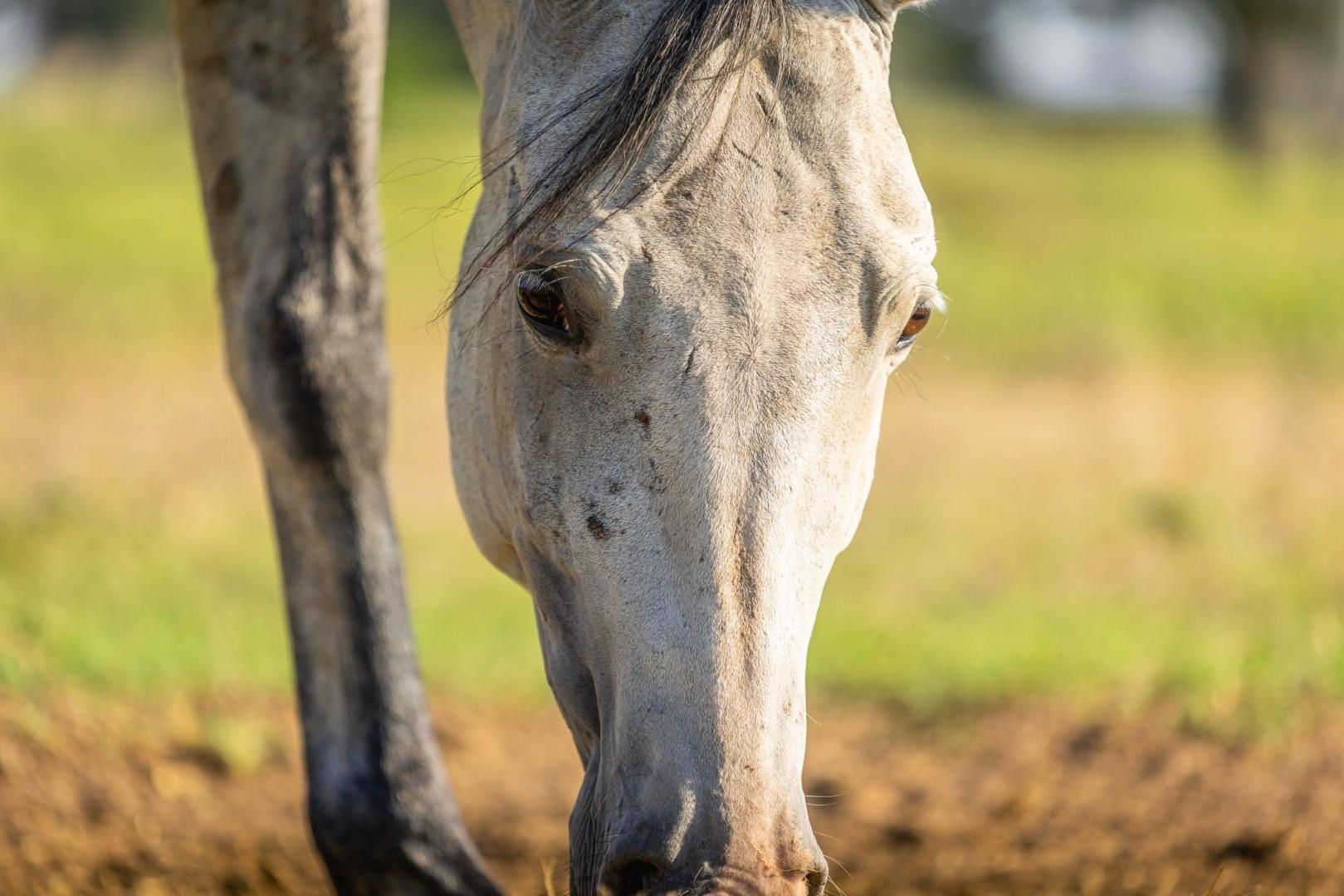 3971 Us Highway 77 S