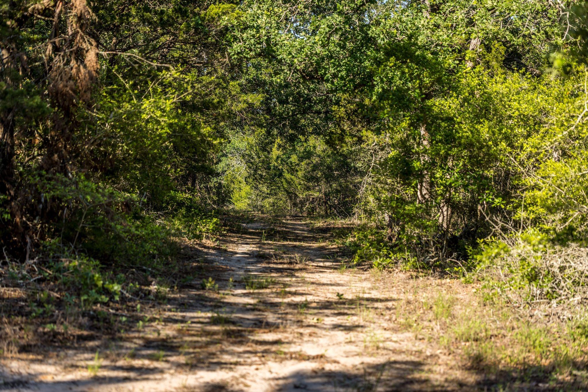 2062 N Fm 1291
