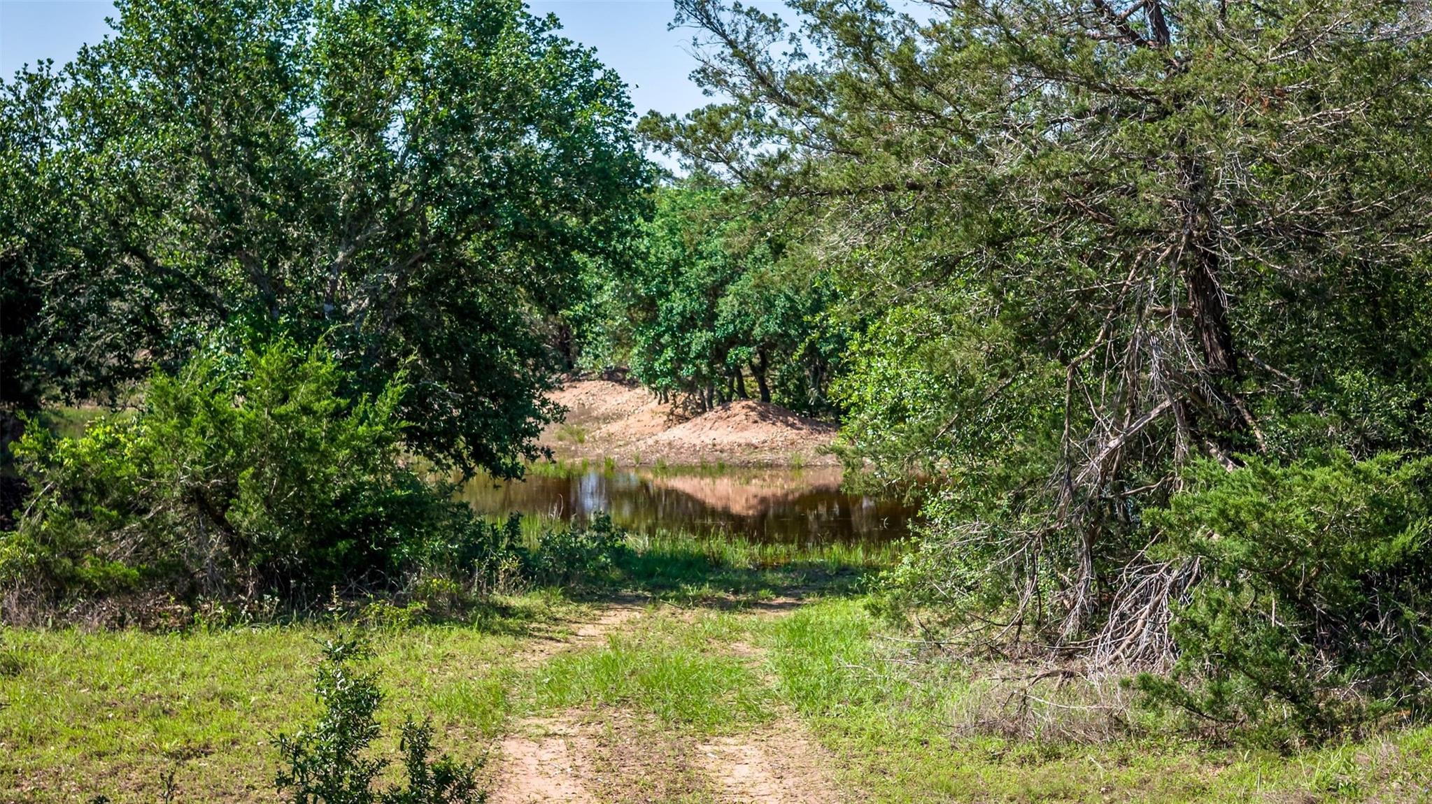 2062 N Fm 1291