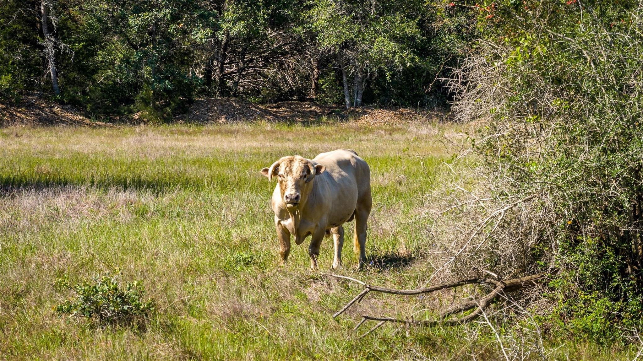 2062 N Fm 1291