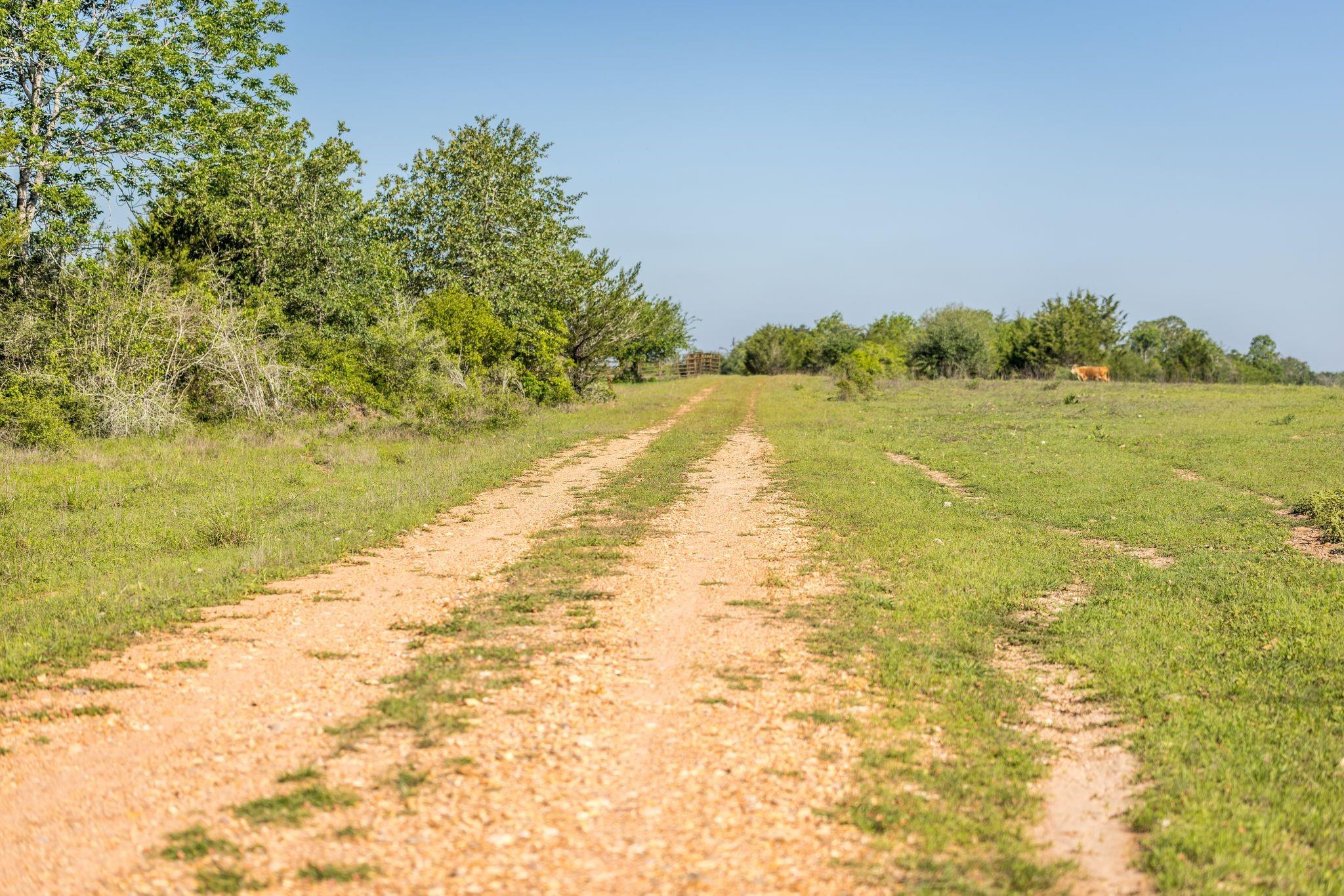 2062 N Fm 1291