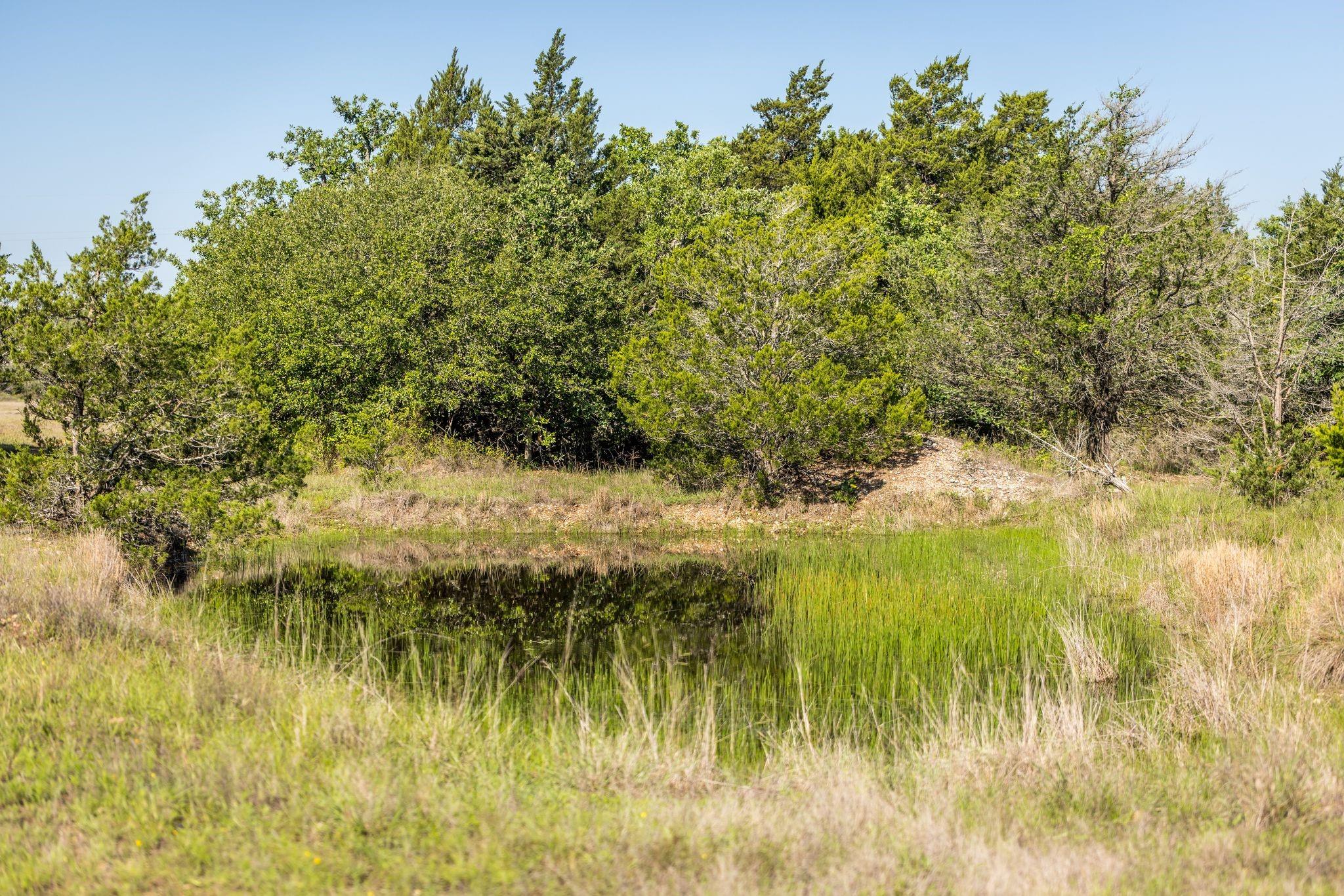 2062 N Fm 1291