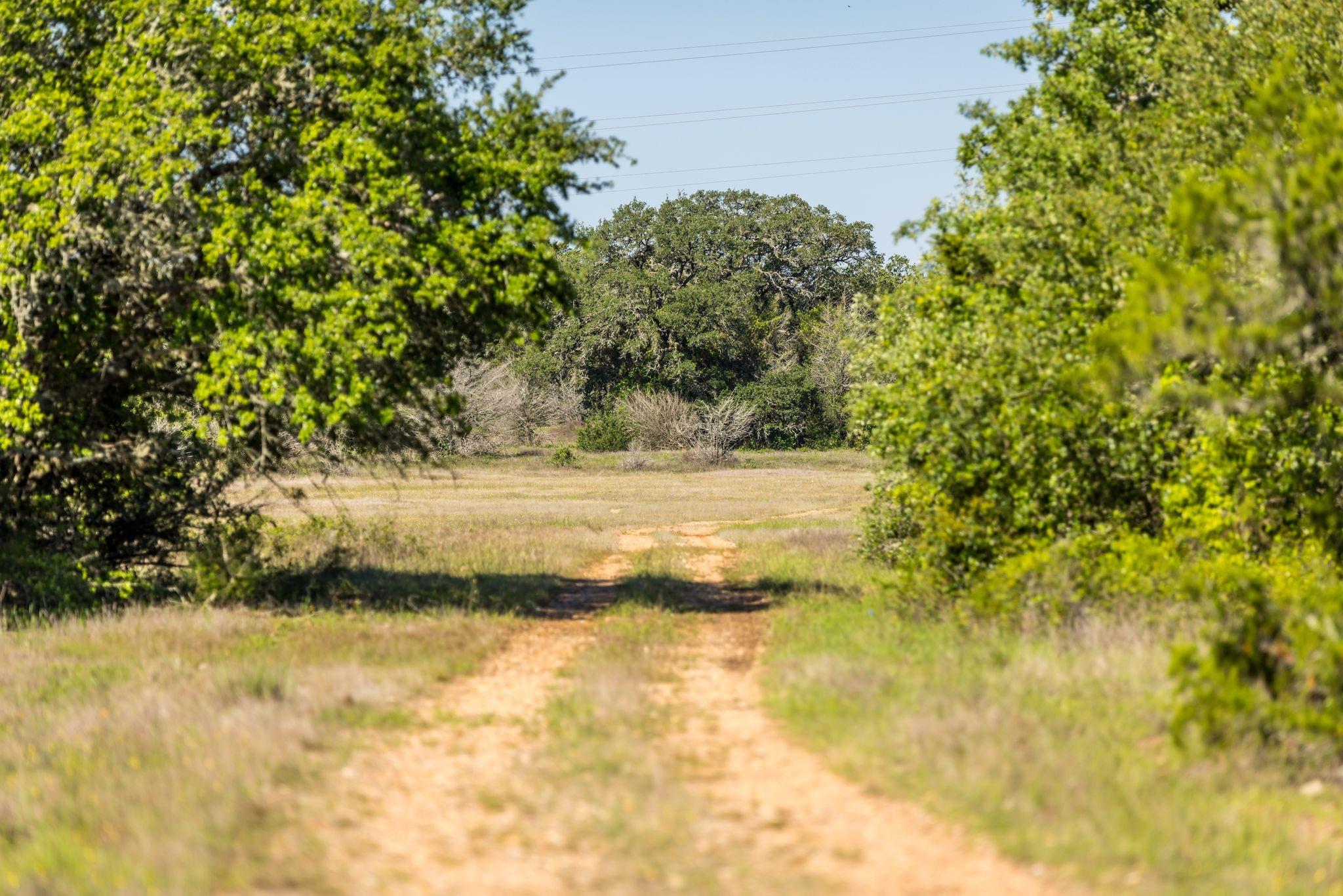 2062 N Fm 1291
