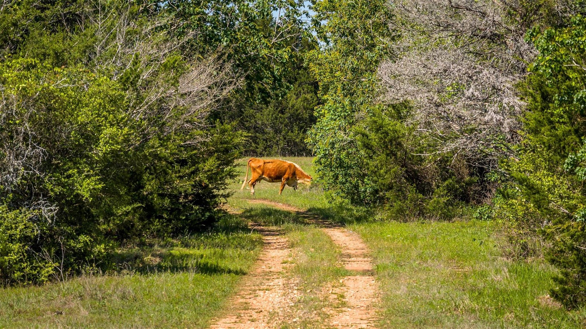 2062 N Fm 1291