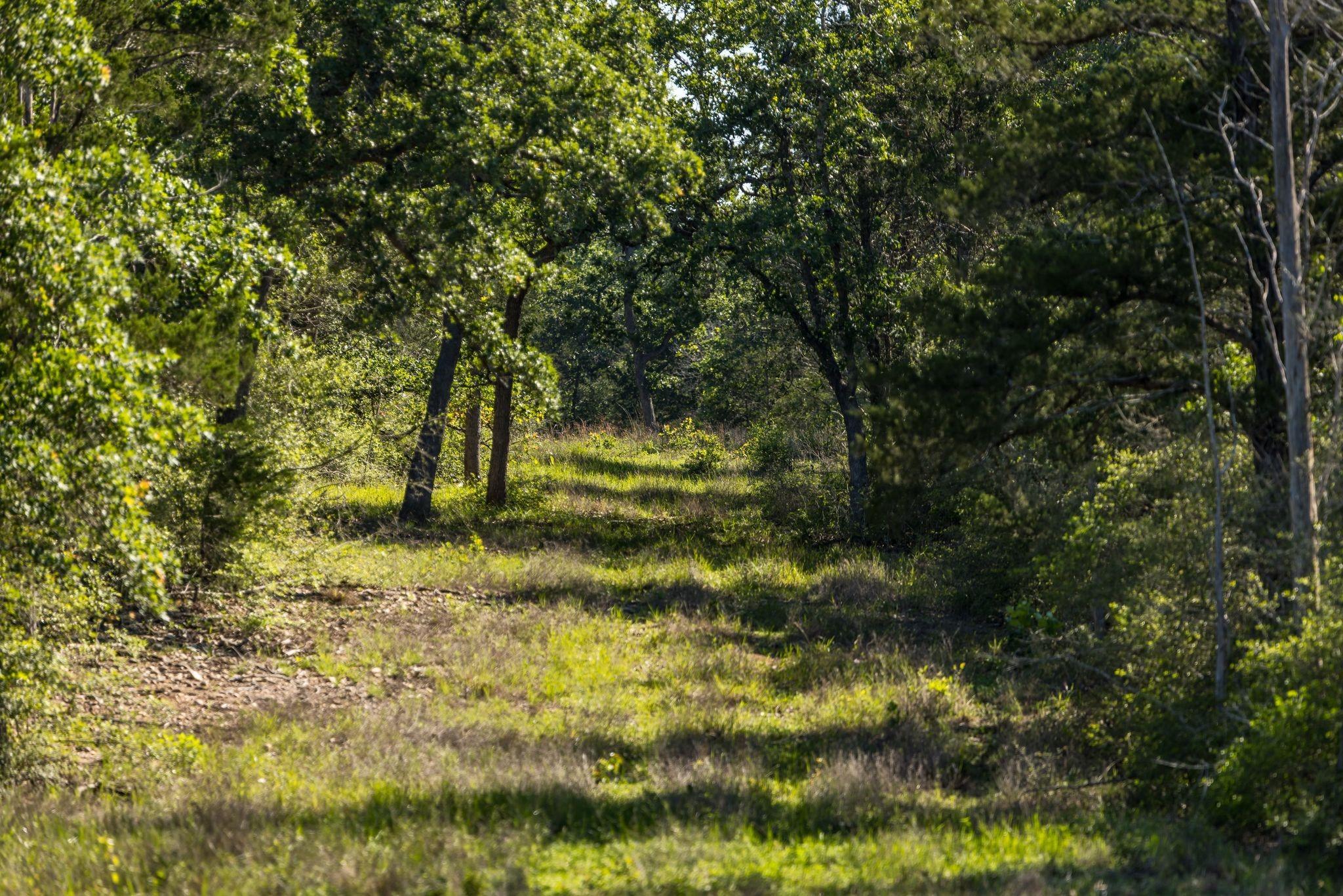 2062 N Fm 1291
