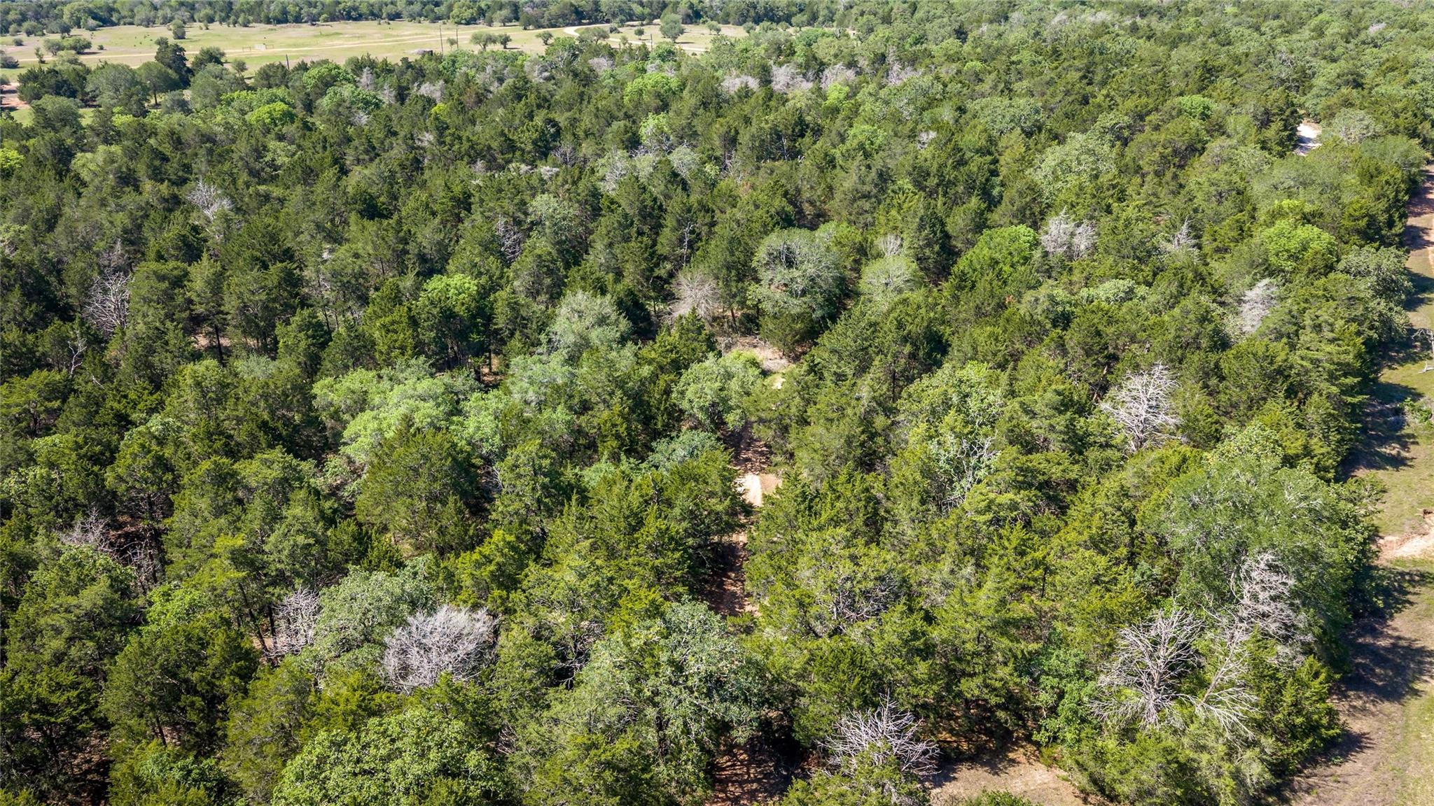 2062 N Fm 1291