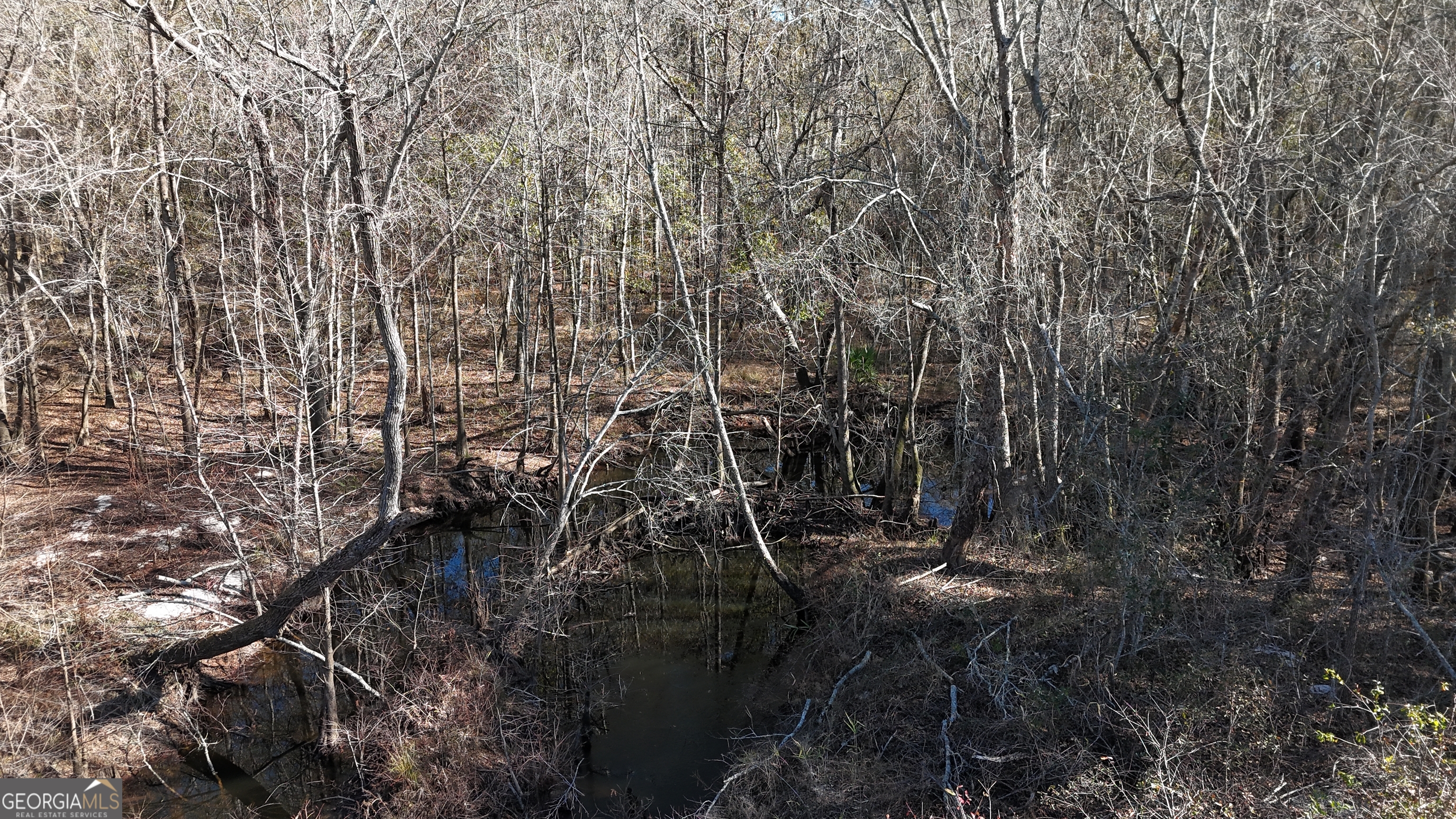 4501 Deloach Church Road
