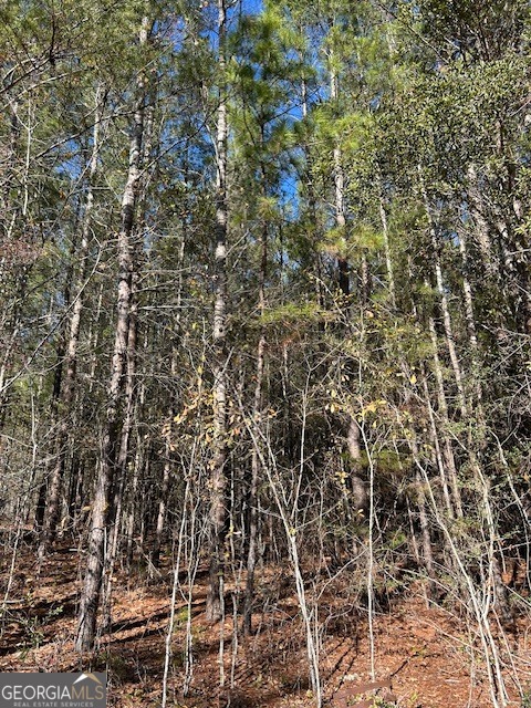 4501 Deloach Church Road