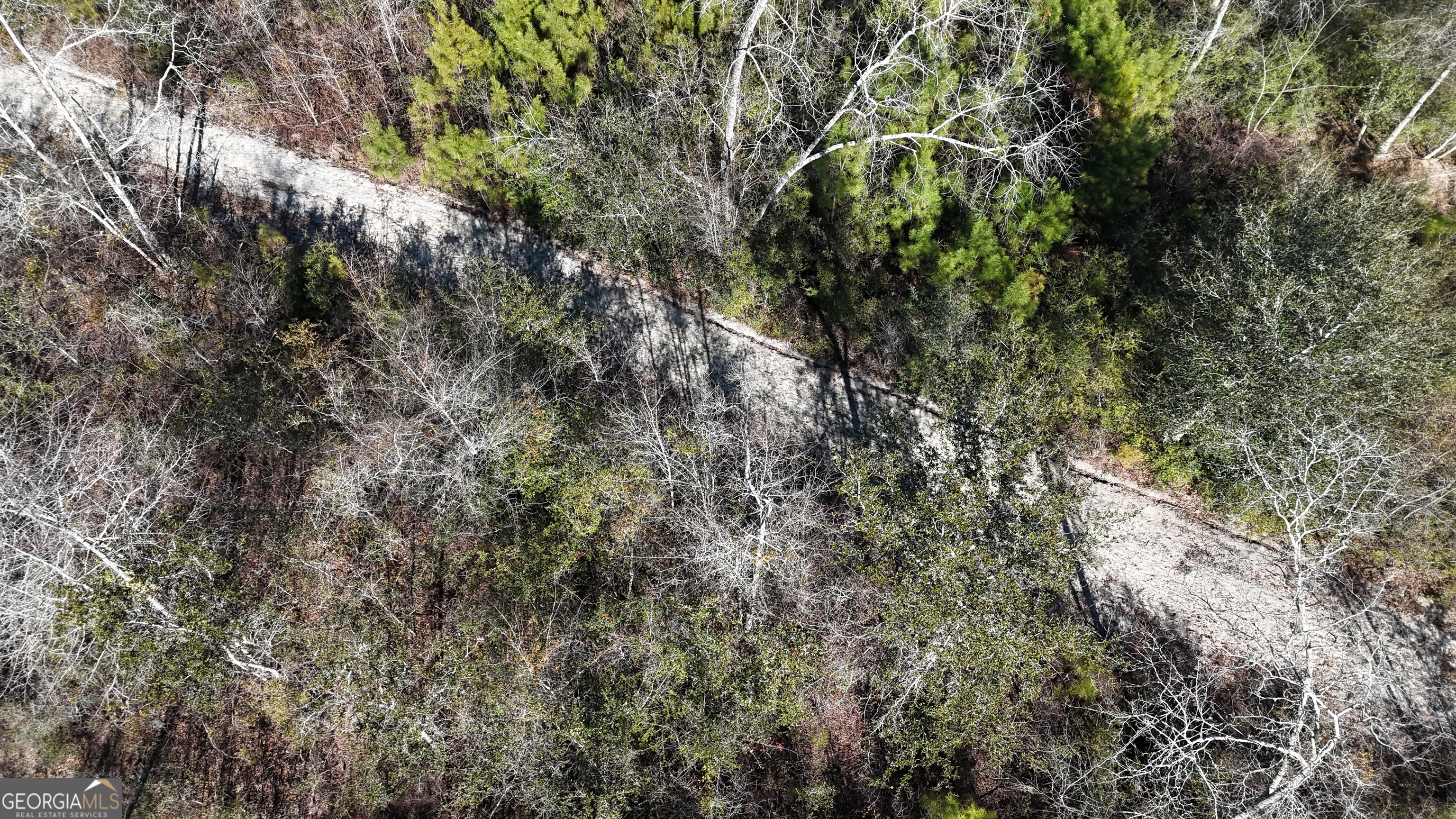 4501 Deloach Church Road