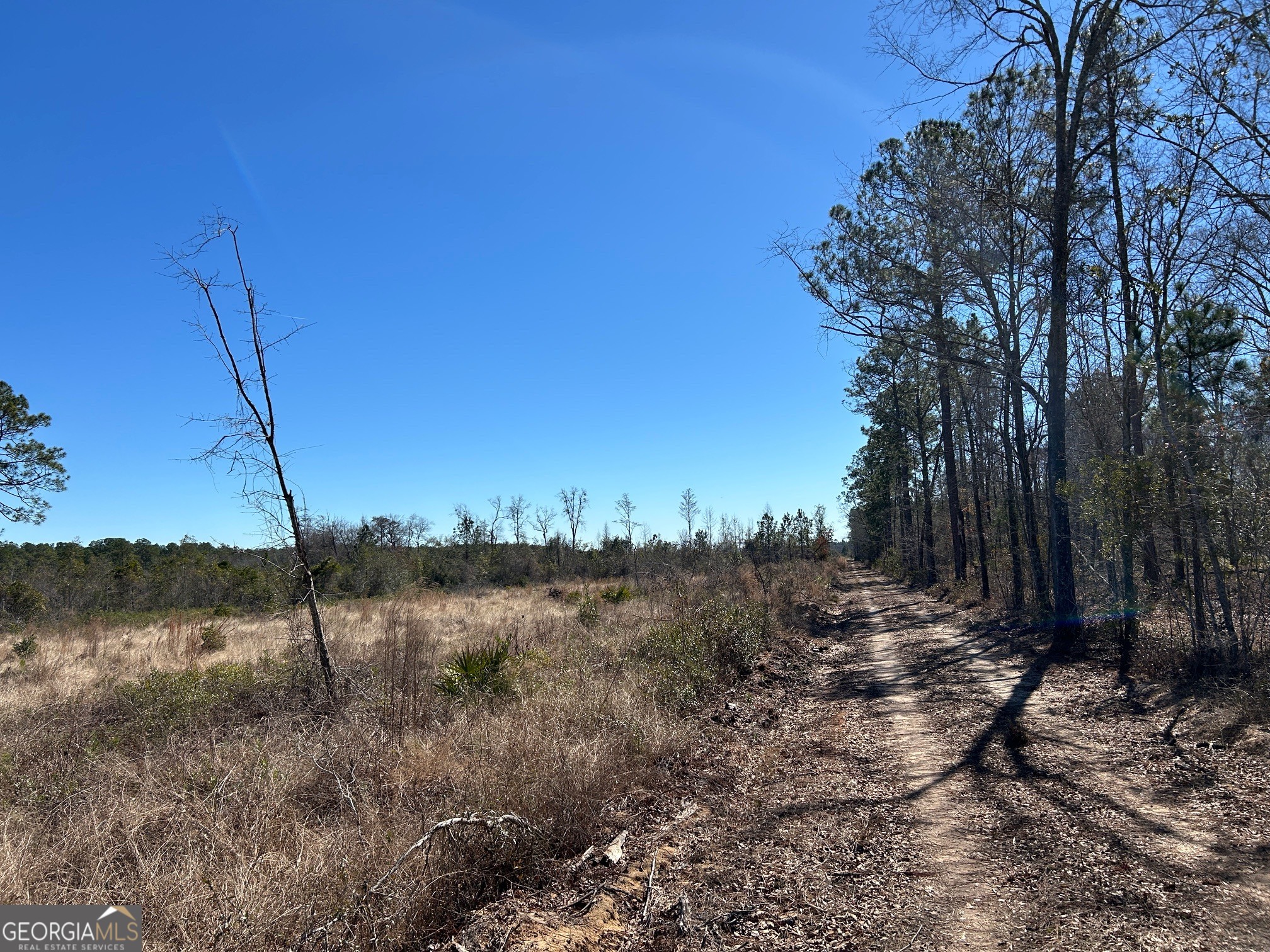 2840 Bay Branch Road