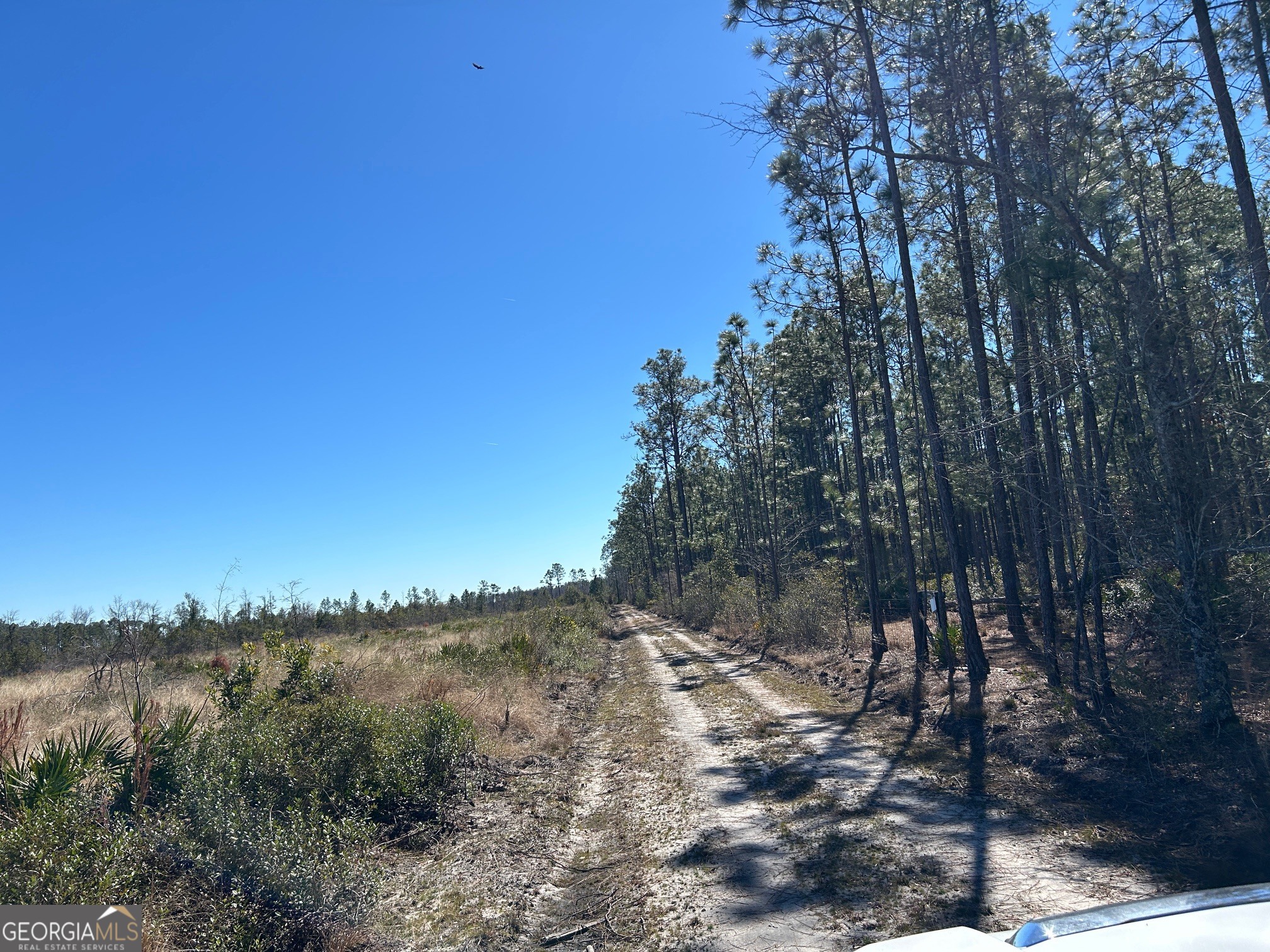 2840 Bay Branch Road