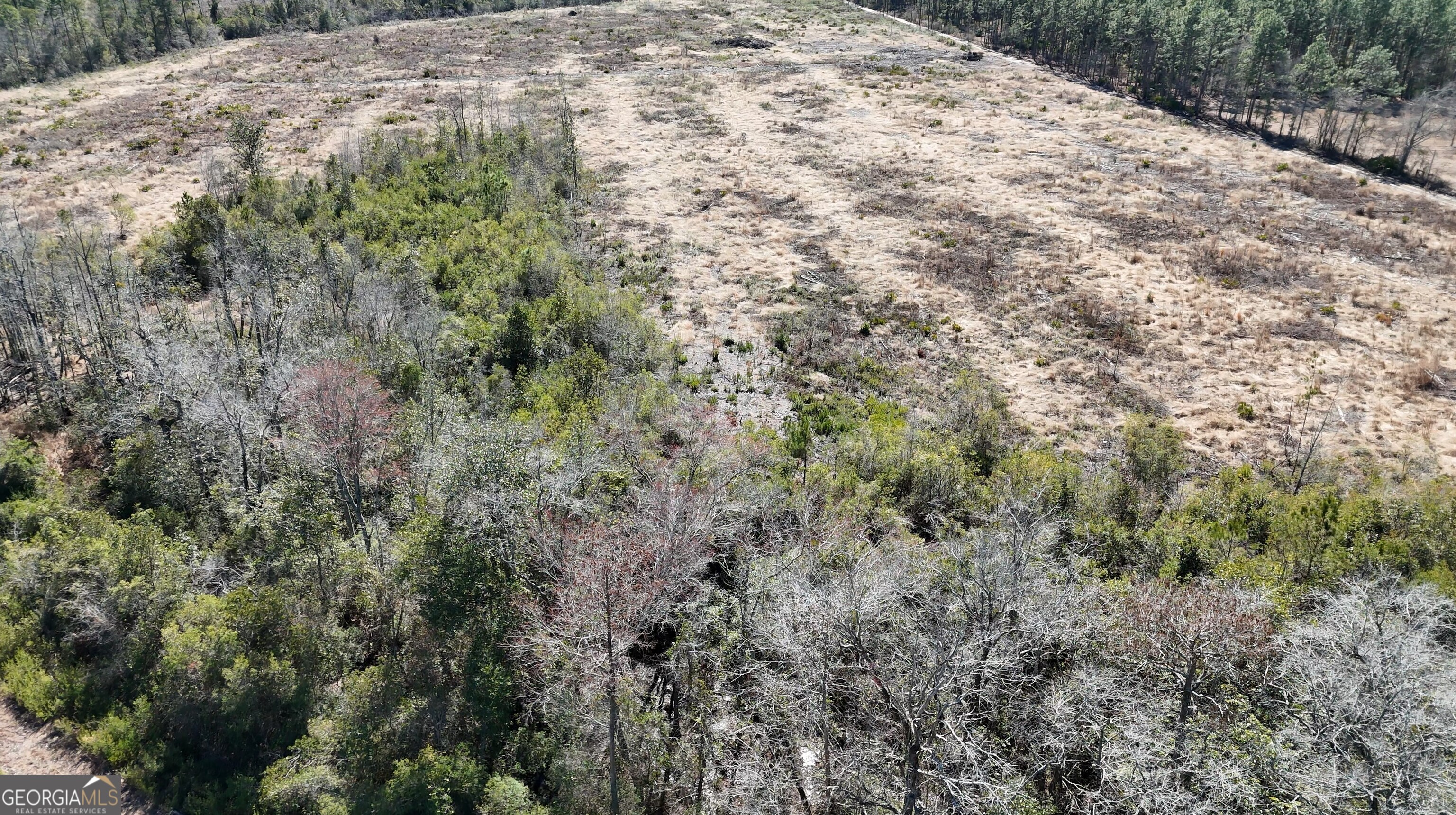 2840 Bay Branch Road