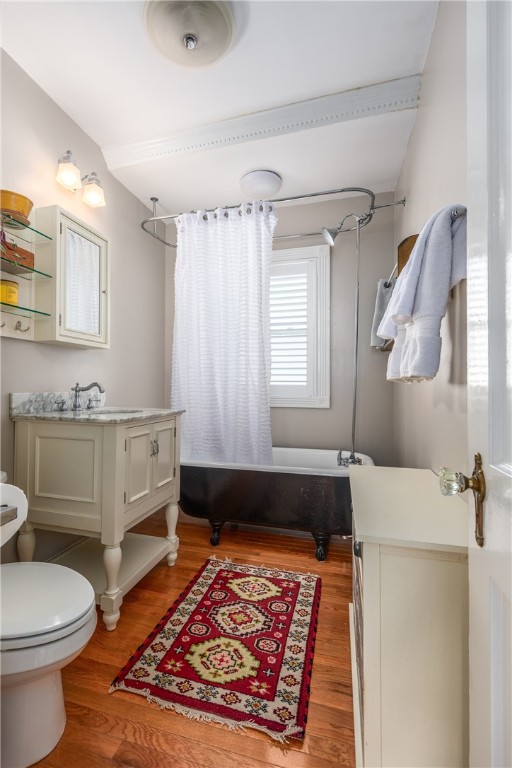 561 Wayland Avenue B