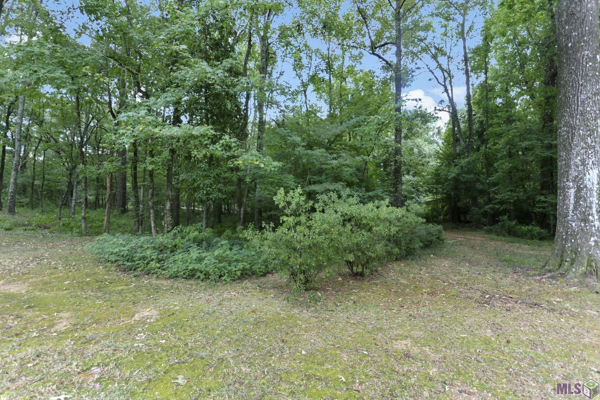 8757 Muscadine Lane West
