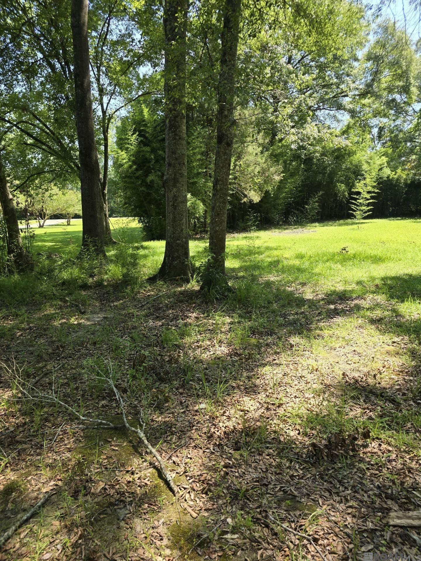 7215 Lower Zachary Rd