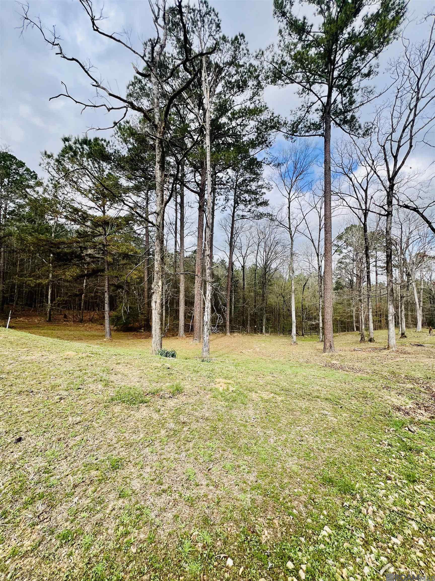 15397 Rogers Rd