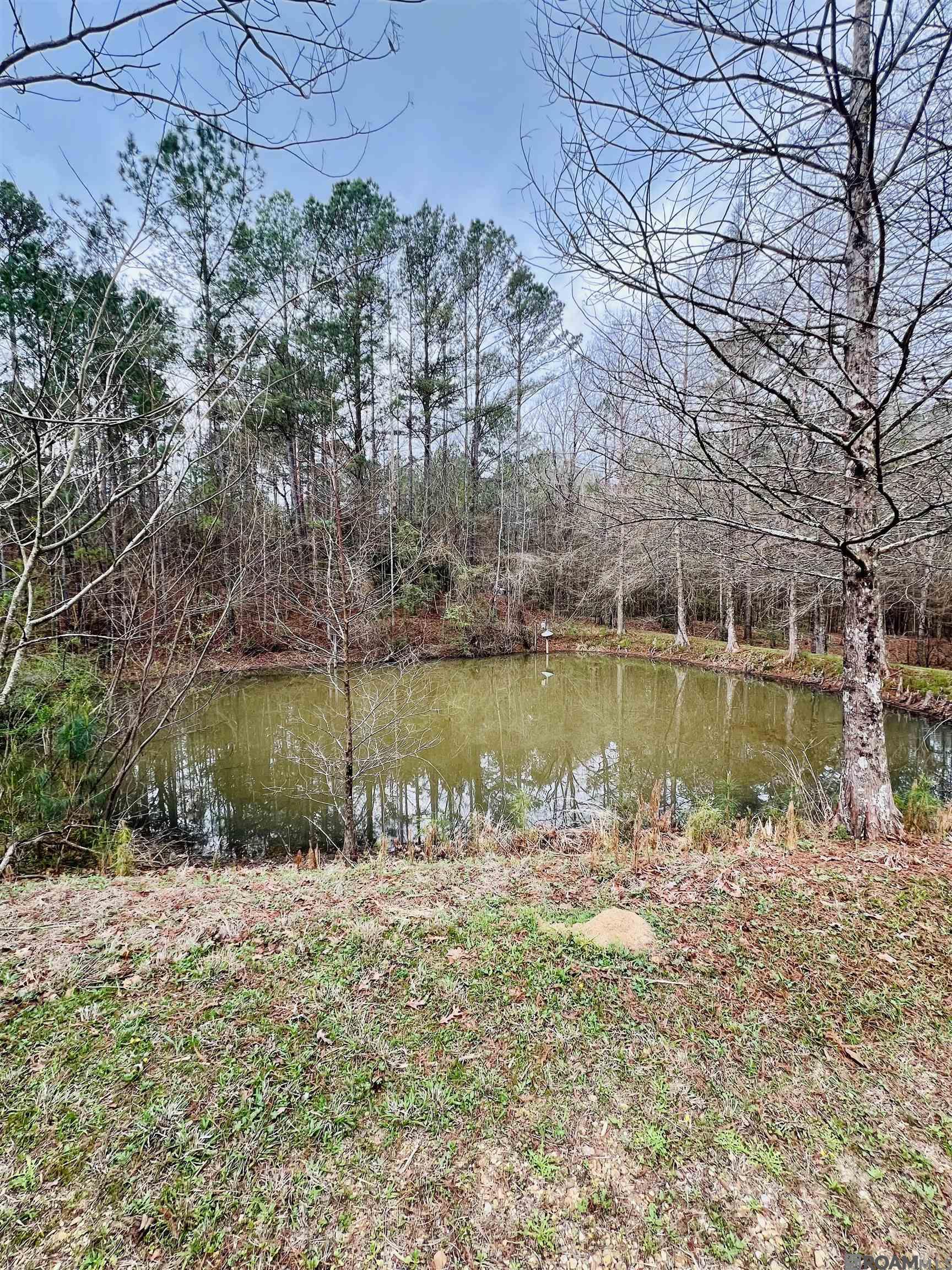 15397 Rogers Rd