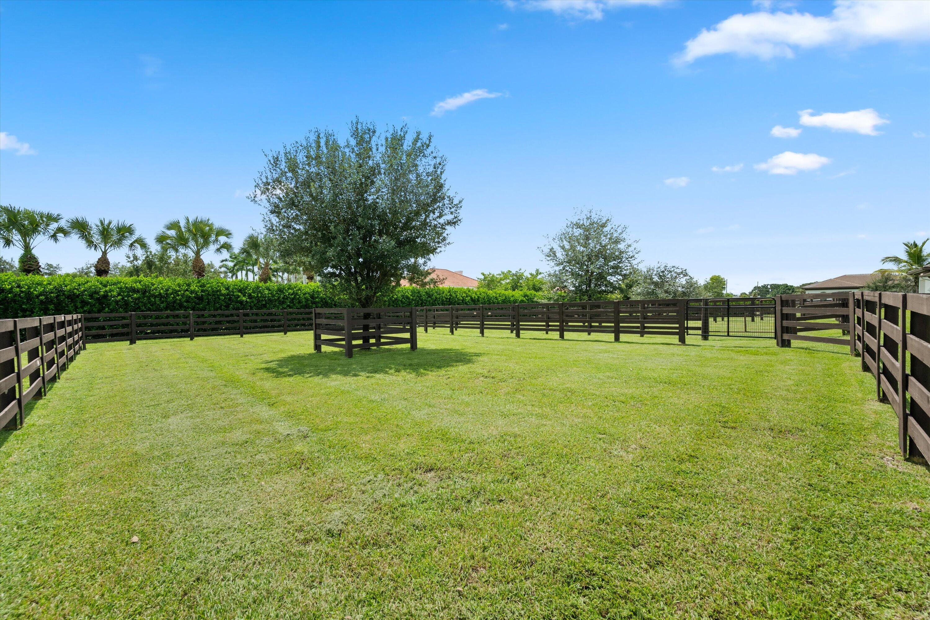 843 STALLION Drive