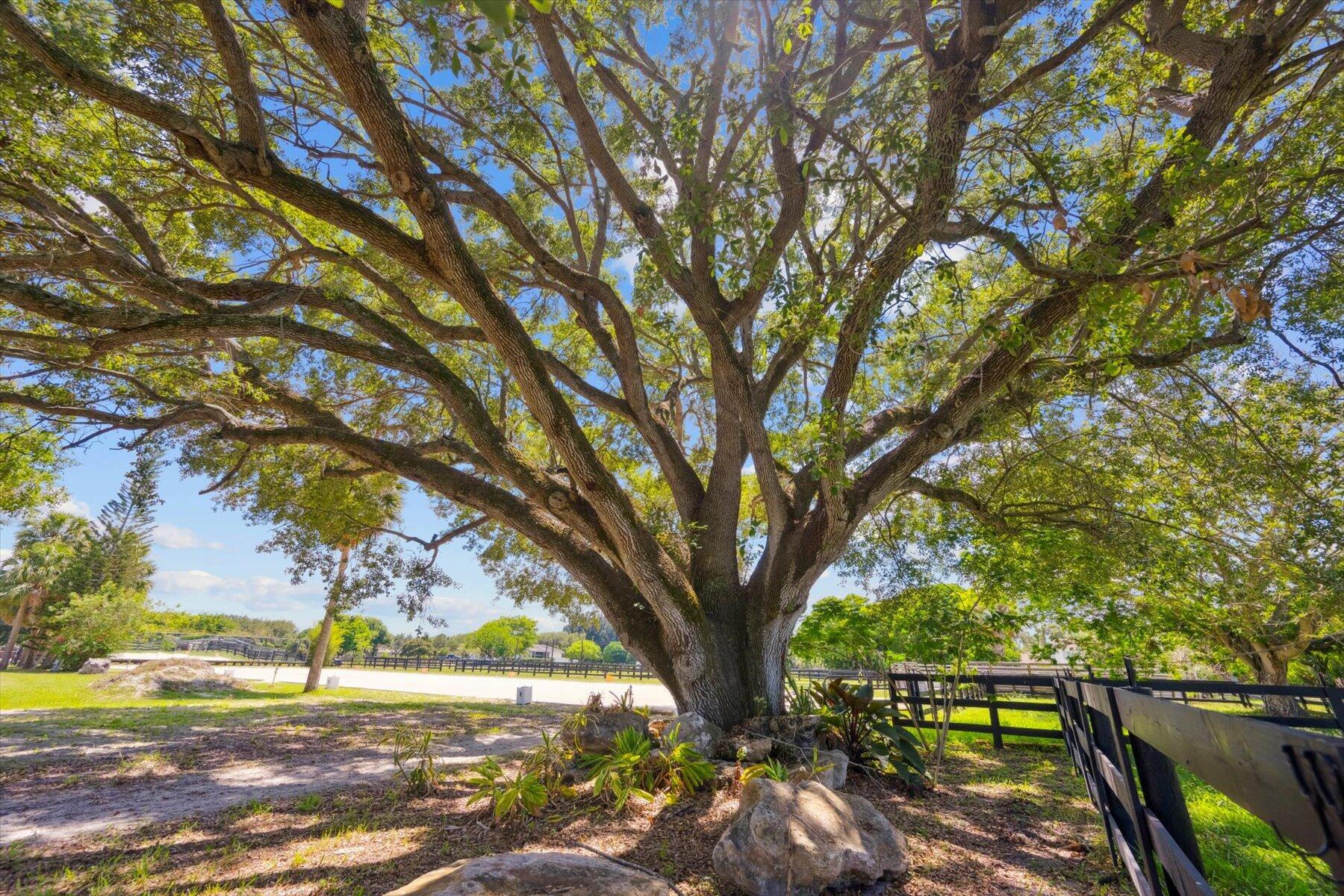 514 Cindy Circle Lane