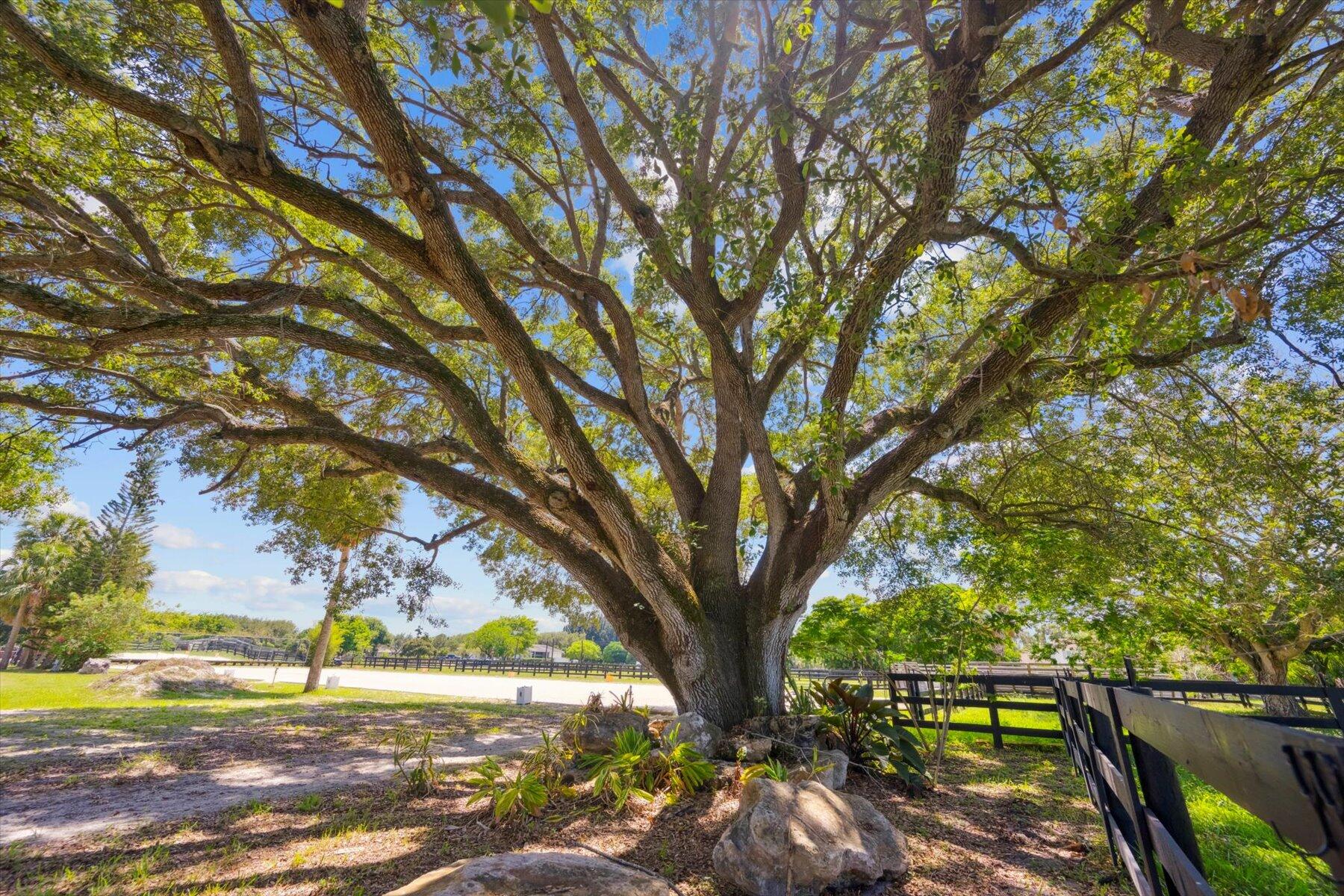 514 Cindy Circle Lane