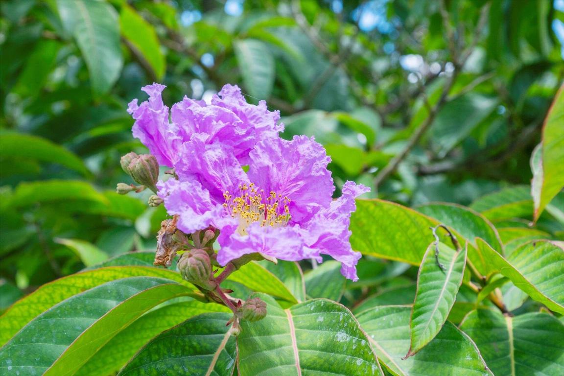 2900 Greenbriar Boulevard