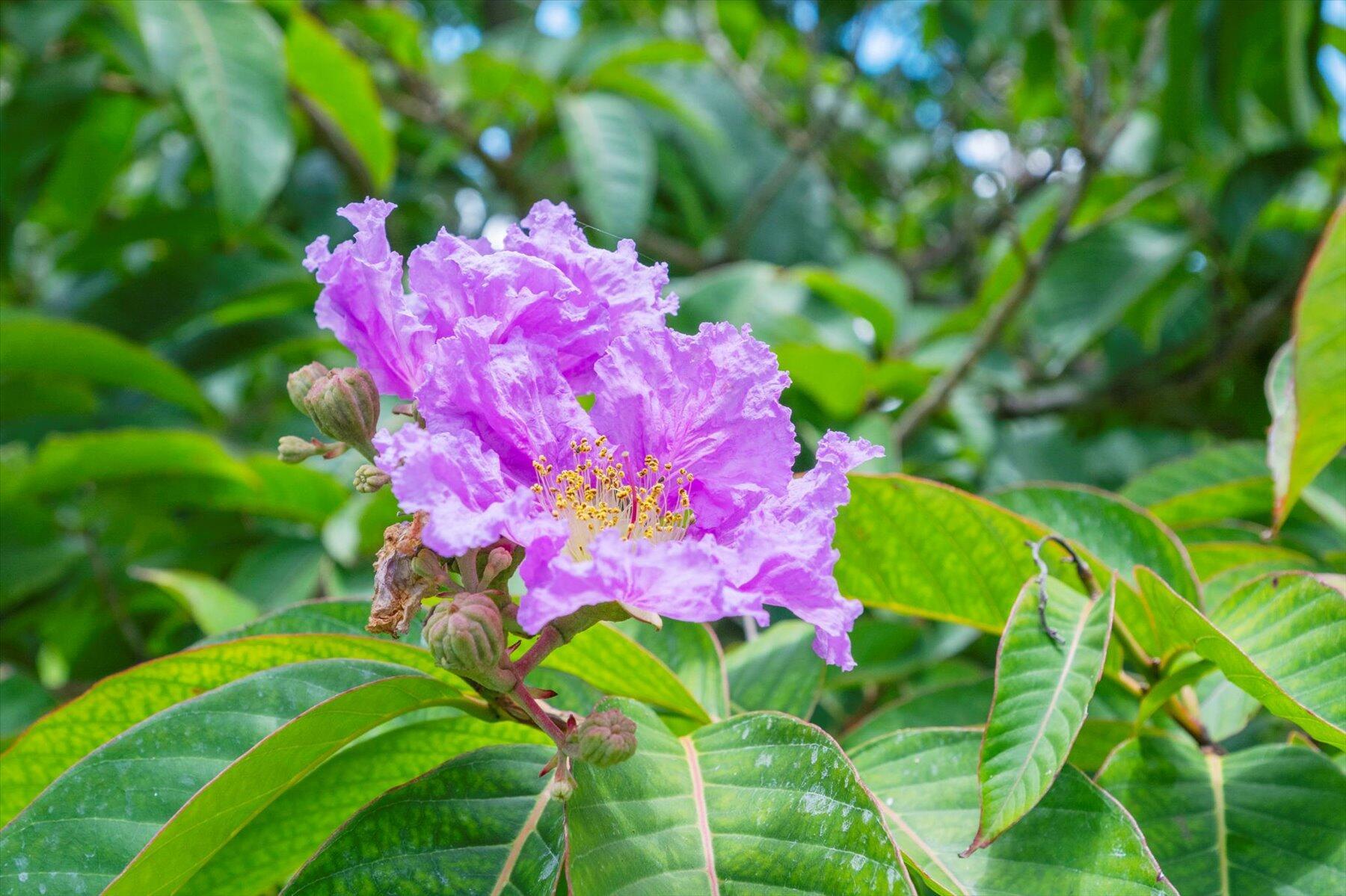 2900 Greenbriar Boulevard