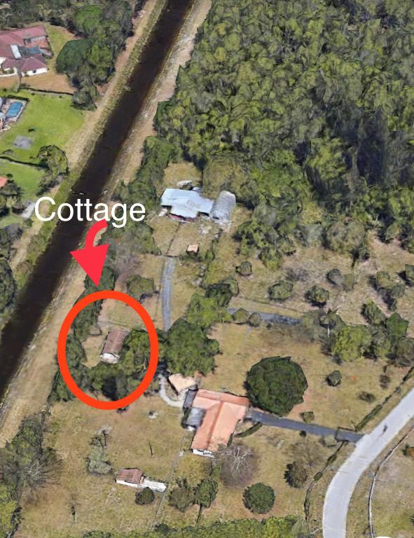 437 W Rambling Drive