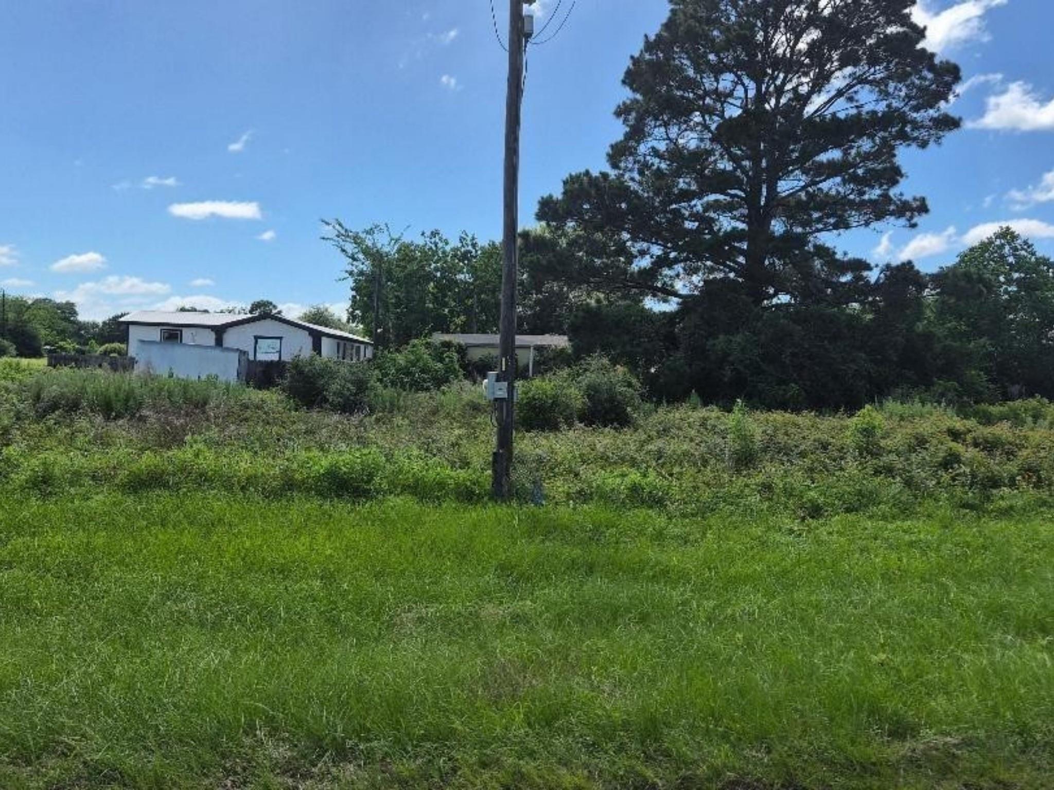 Single-story house behind a broad grassy lot, partly screened by overgrown shrubs and trees.