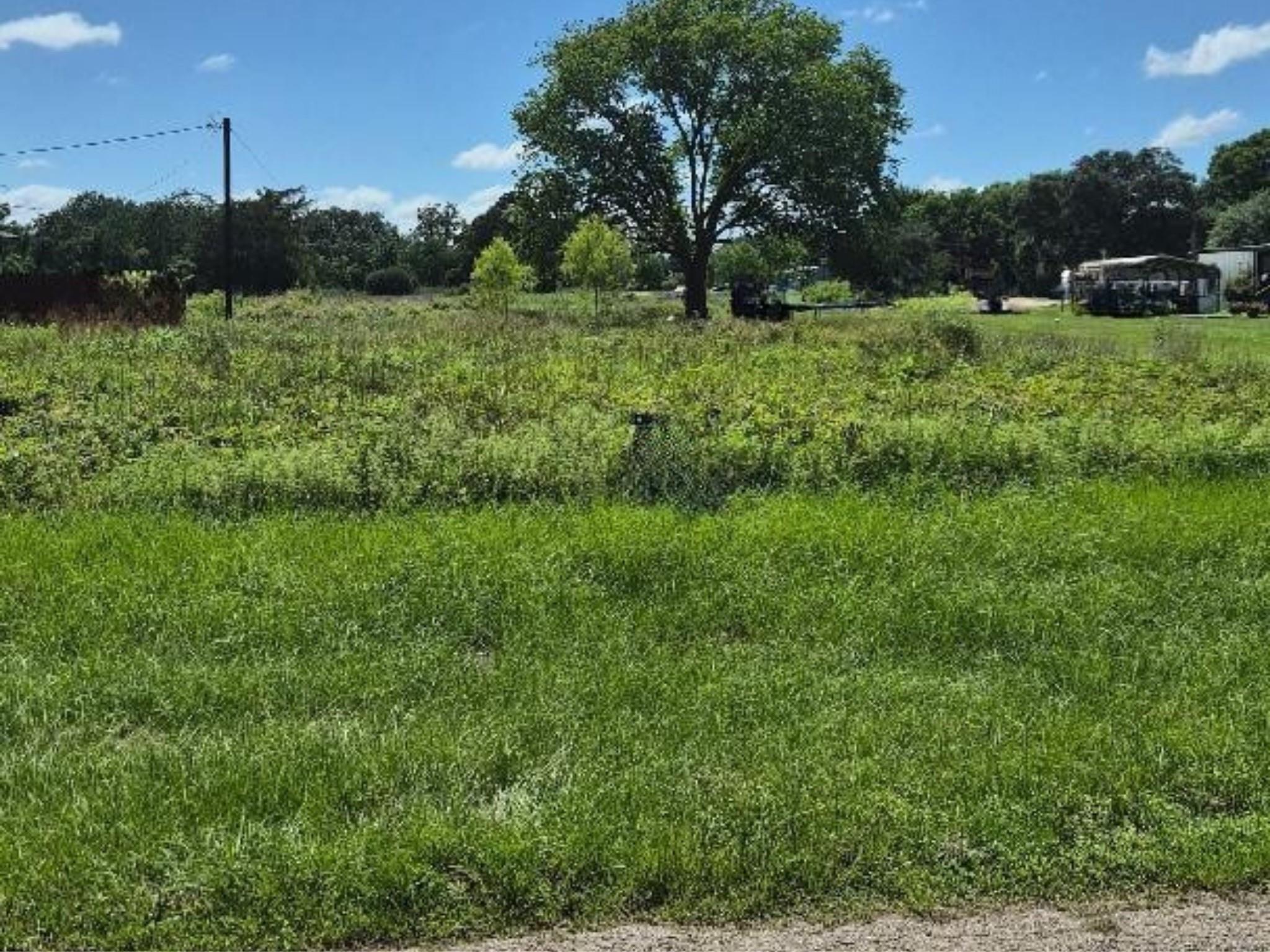 Grassy vacant lot with a large mature tree and outbuilding in the distance.