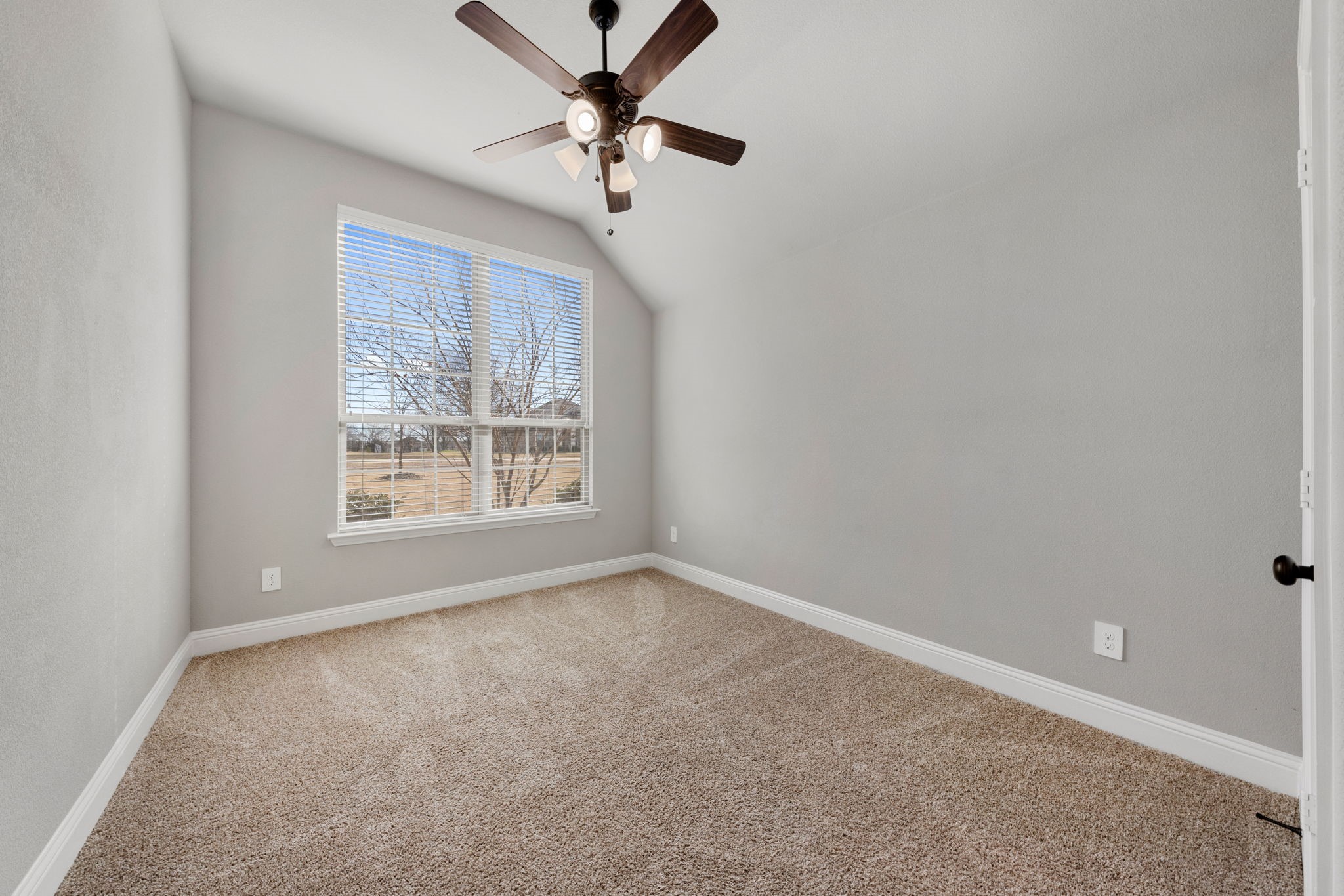 331 Buckthorn Drive