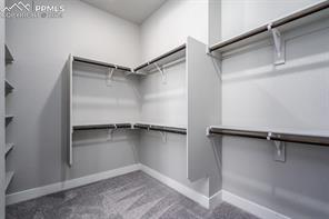 17238 Crimson Clover Drive