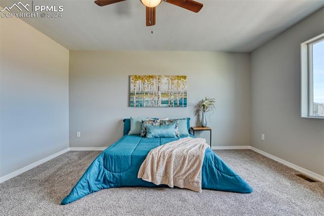 10908 Hidden Prairie Parkway